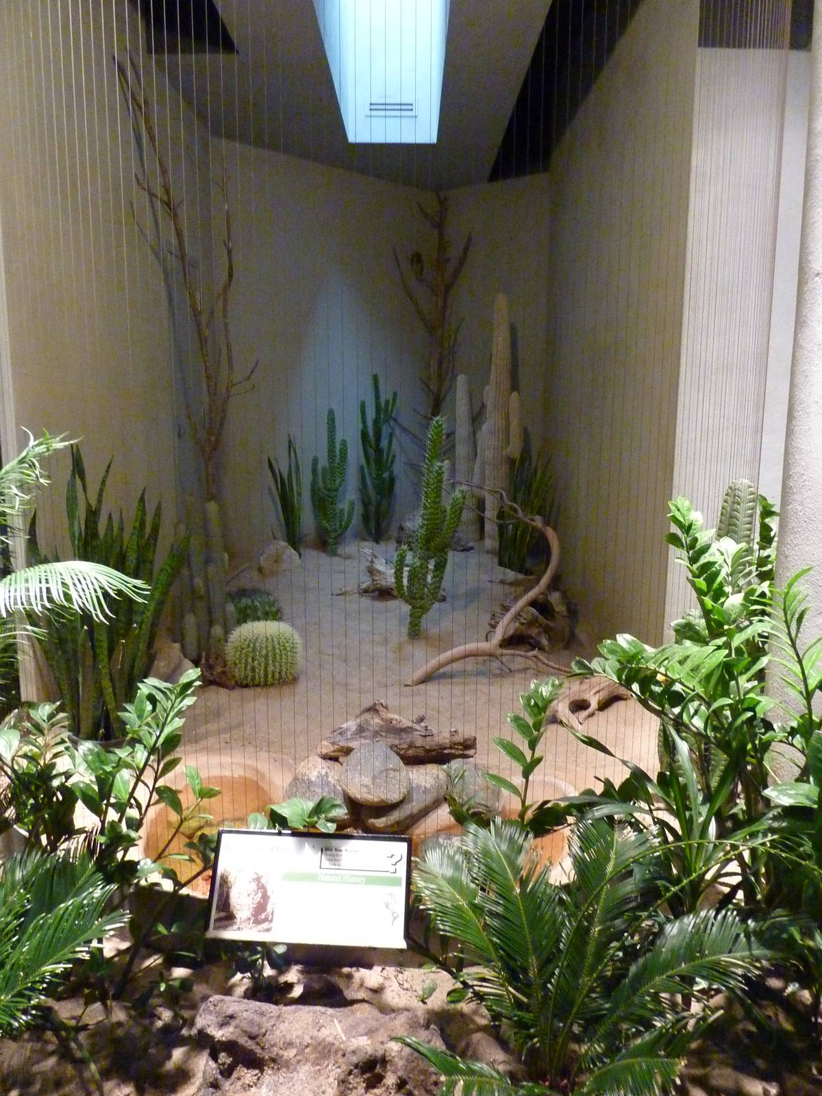 Bird House - Built In 1930 - Burrowing Owl Exhibit