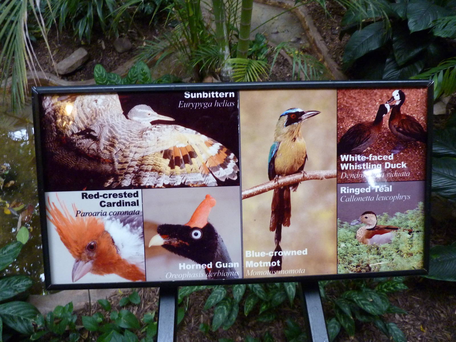 Bird House - Built In 1930 - Signage