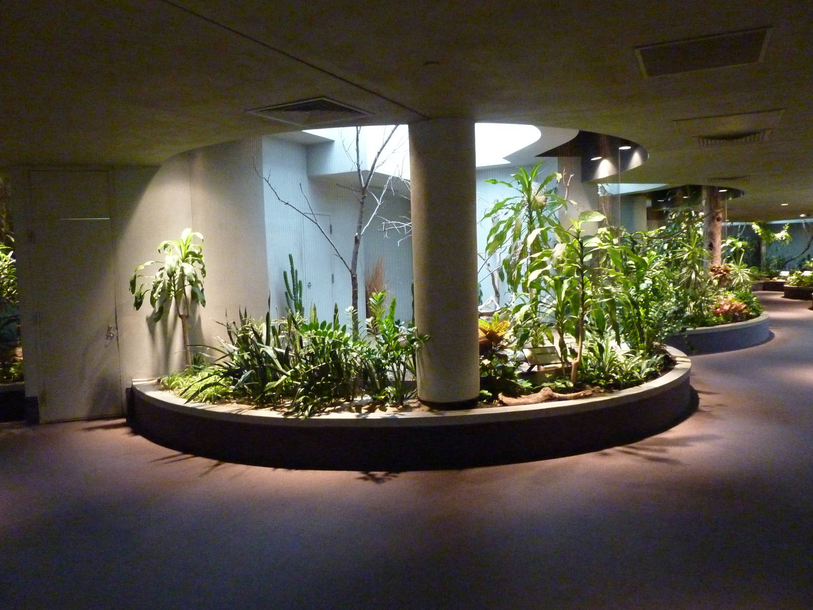 Bird House - Built In 1930