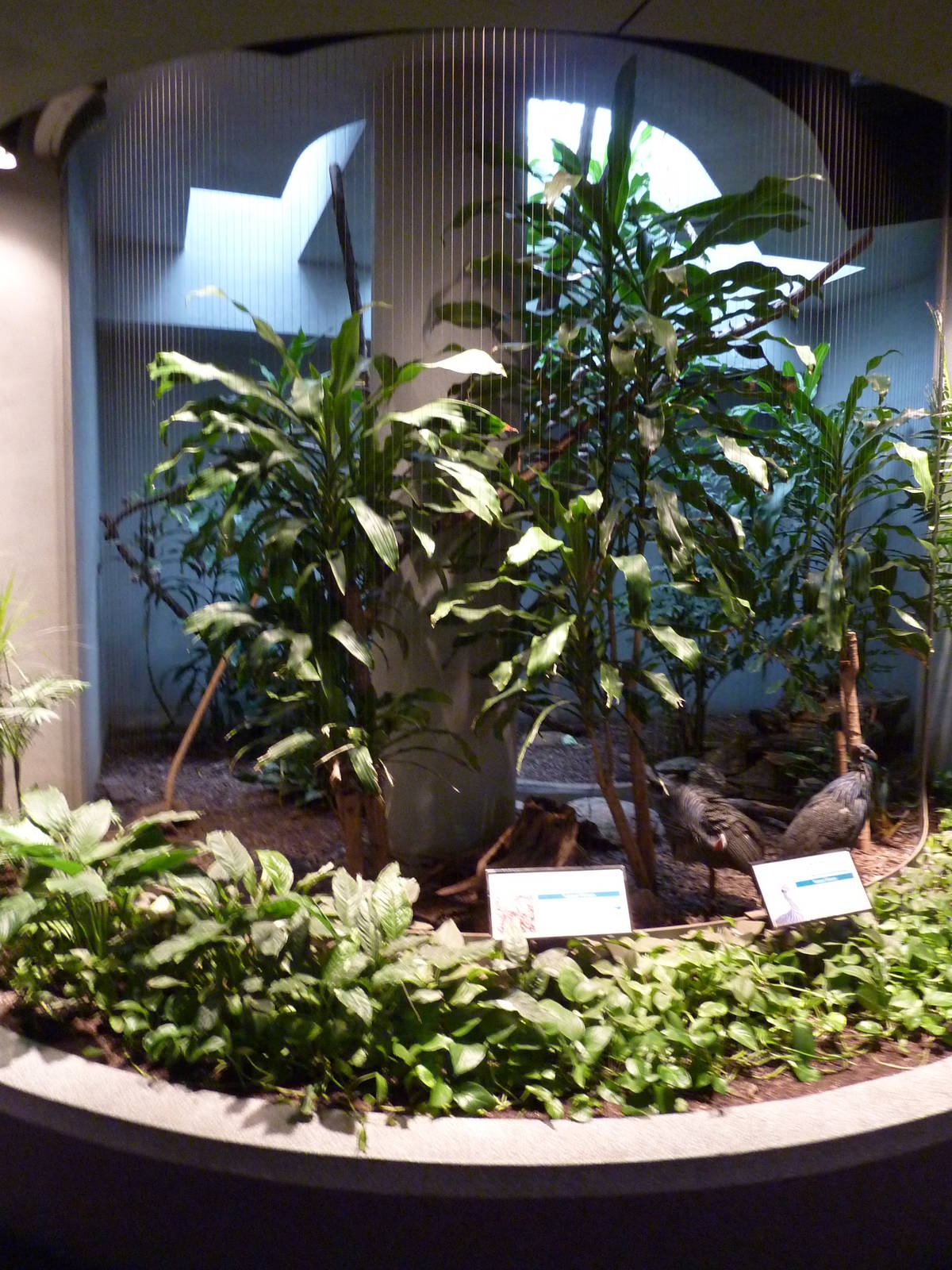 Bird House - Built In 1930