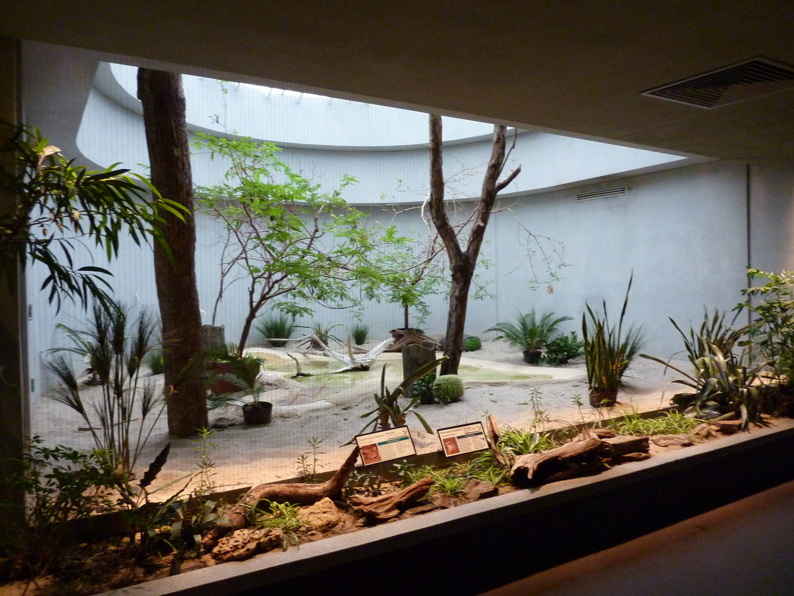 Bird House - Built In 1930