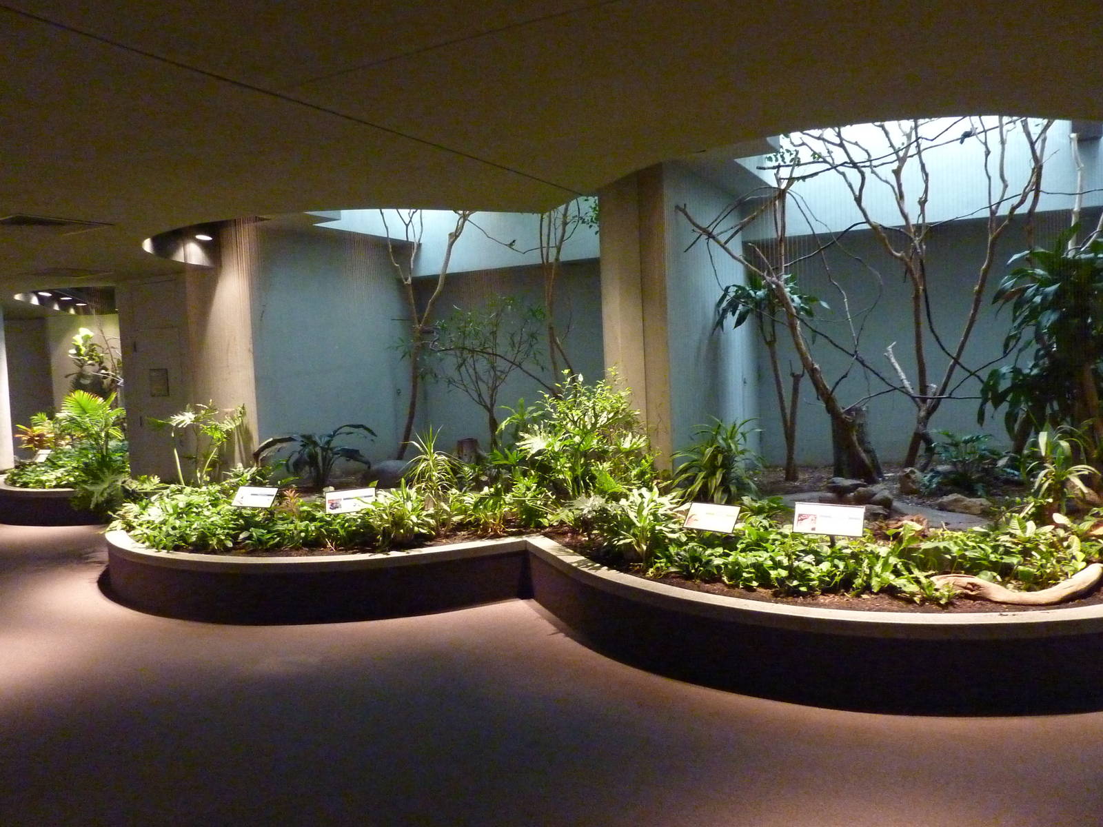 Bird House - Built In 1930