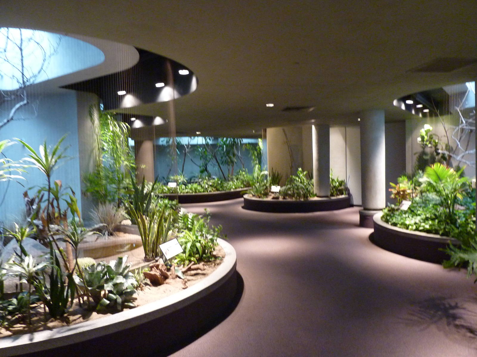 Bird House - Built In 1930