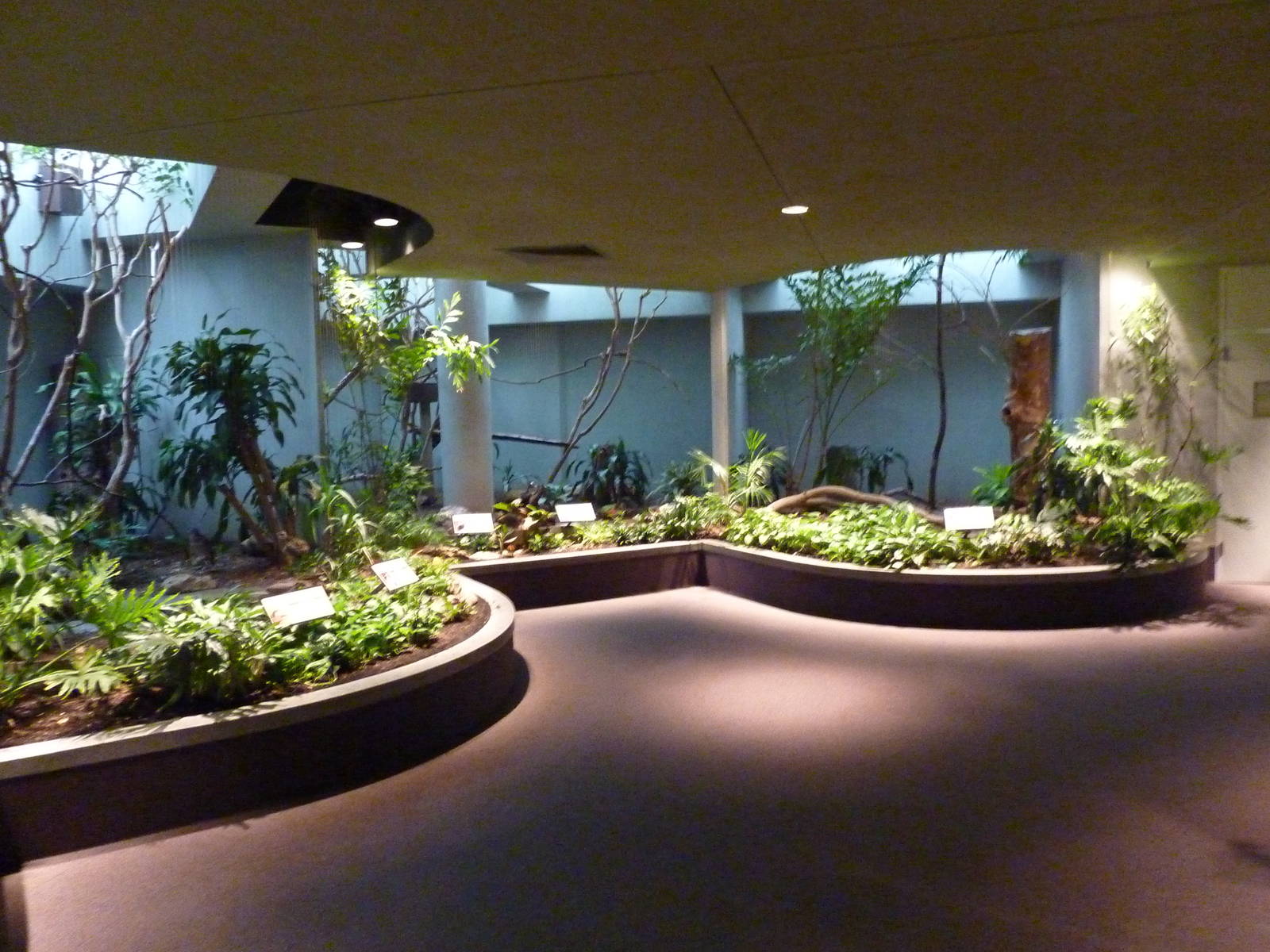 Bird House - Built In 1930