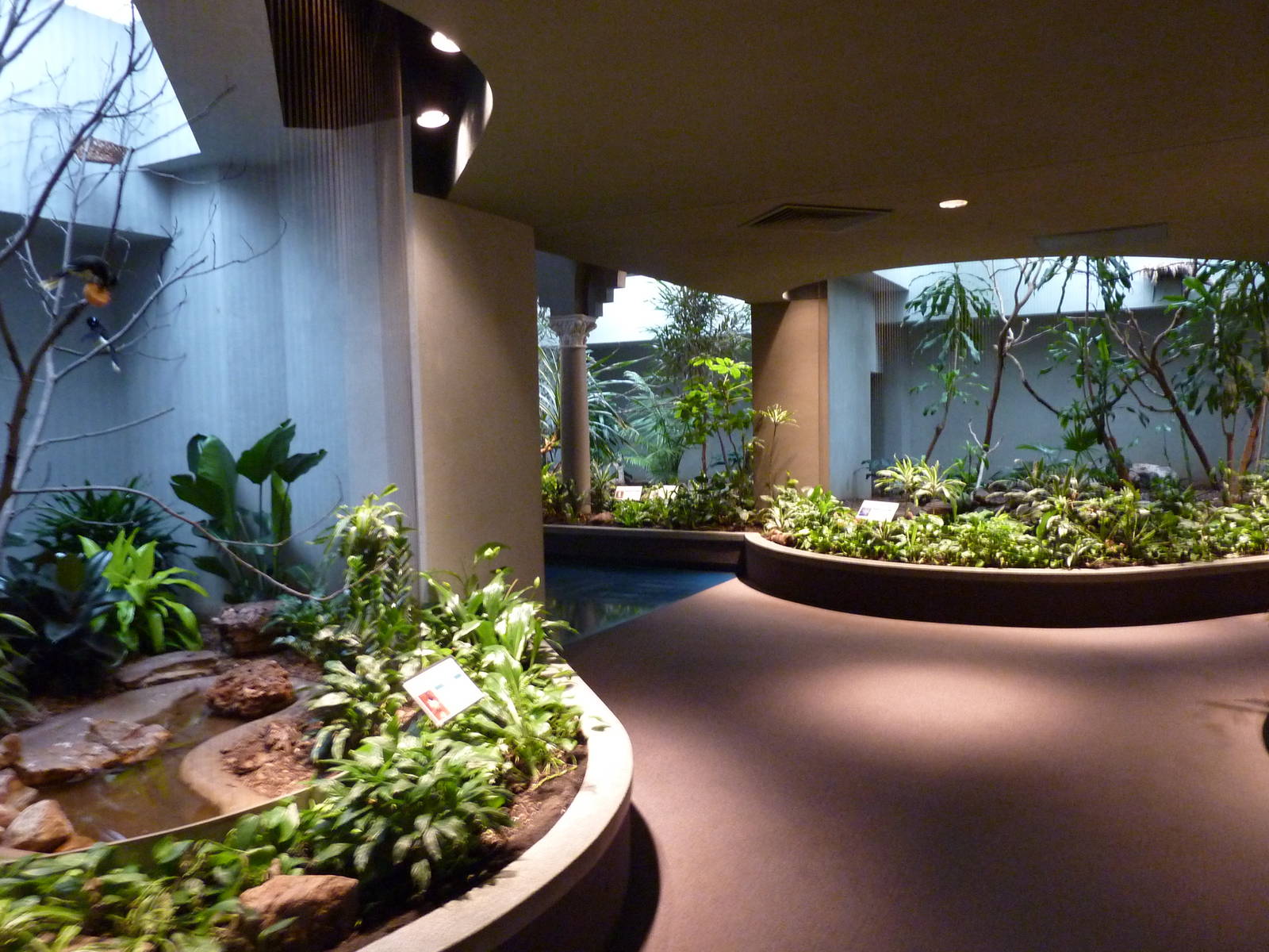 Bird House - Built In 1930