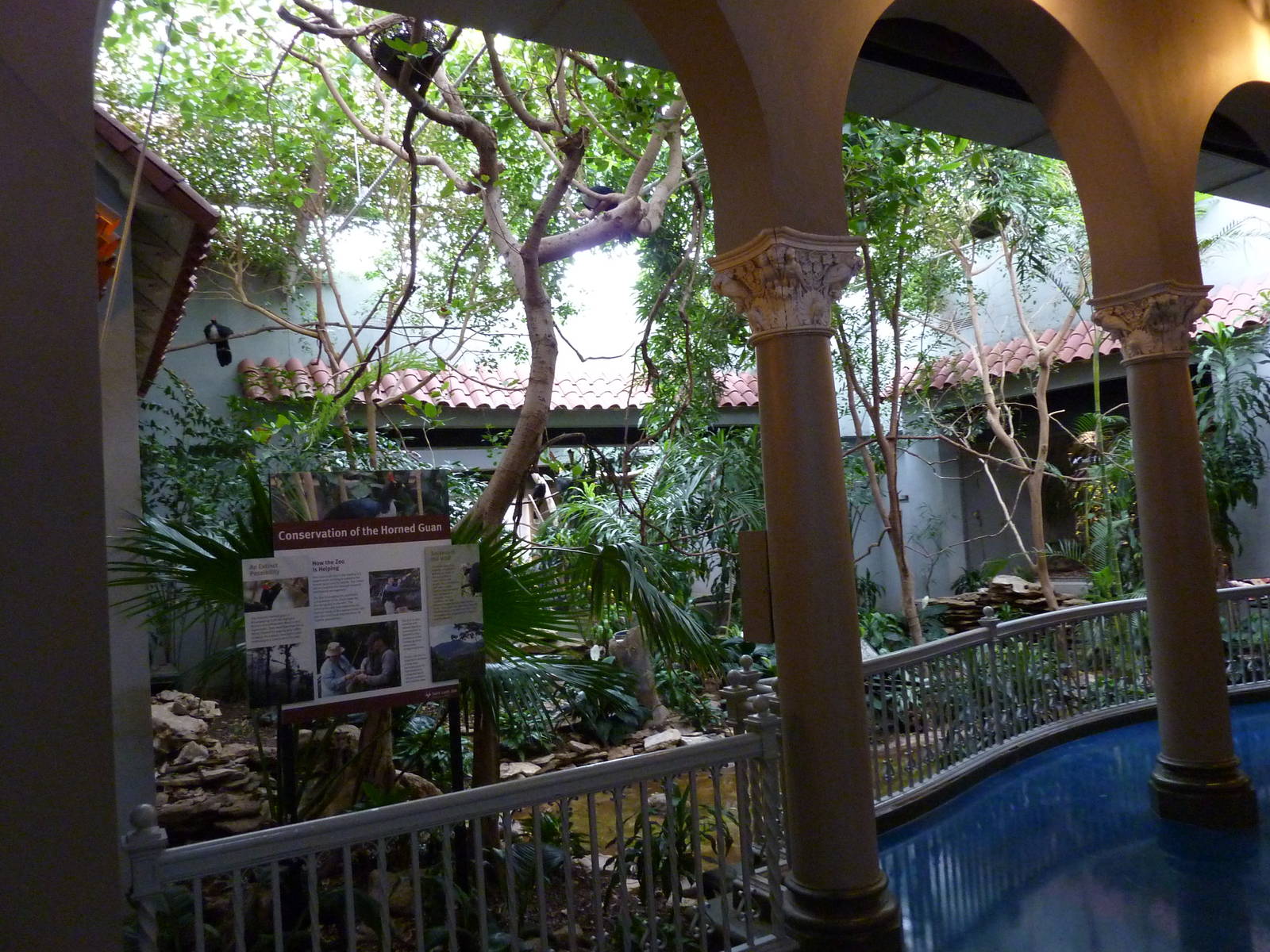 Bird House - Built In 1930