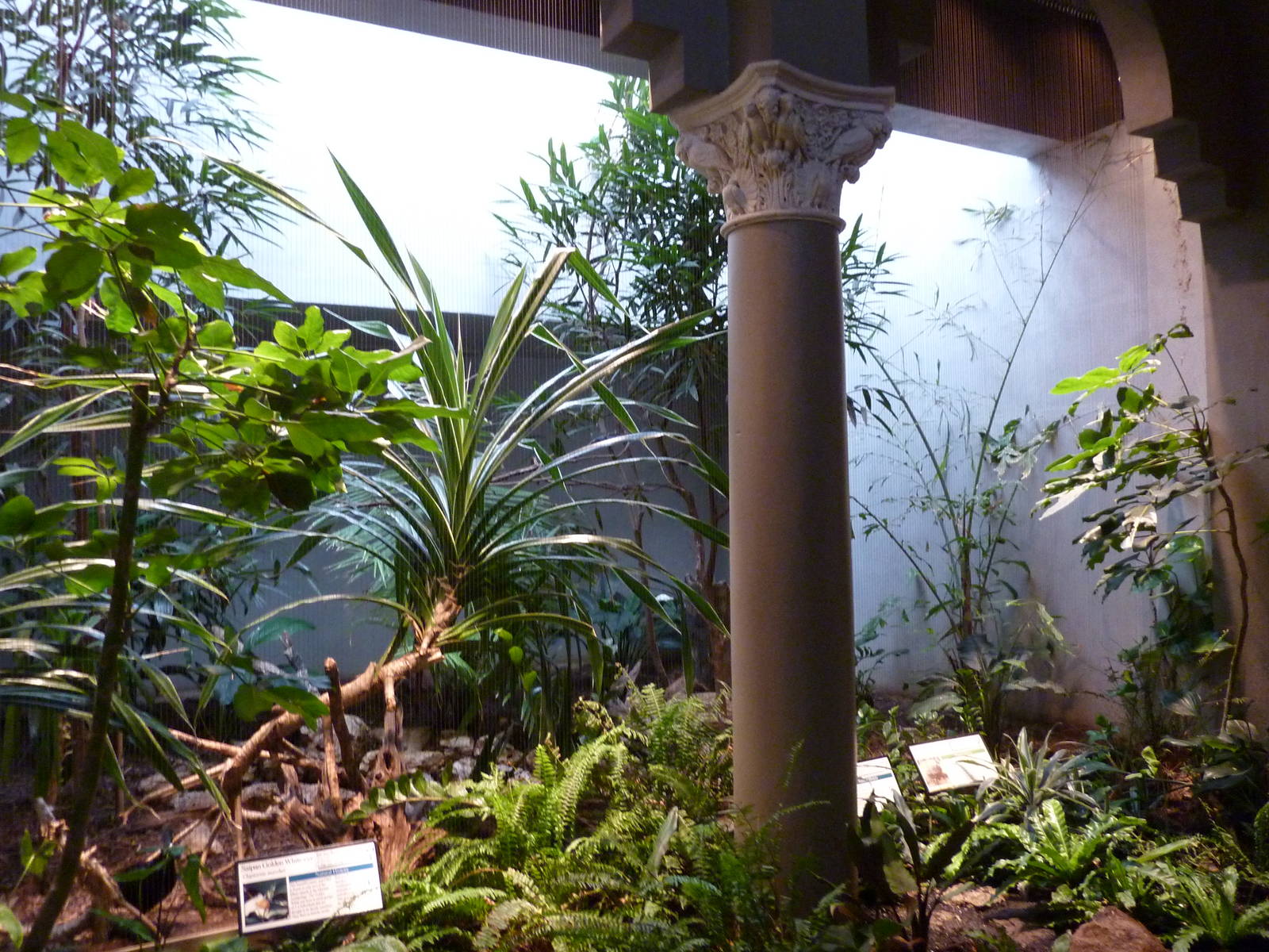 Bird House - Built In 1930