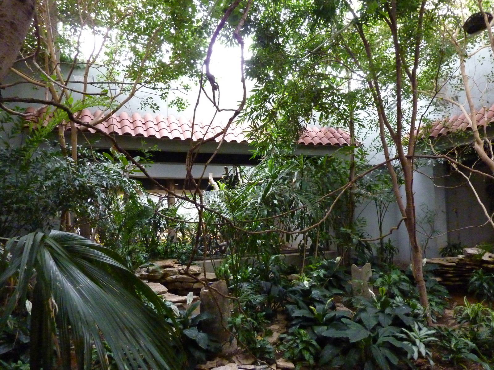 Bird House - Built In 1930