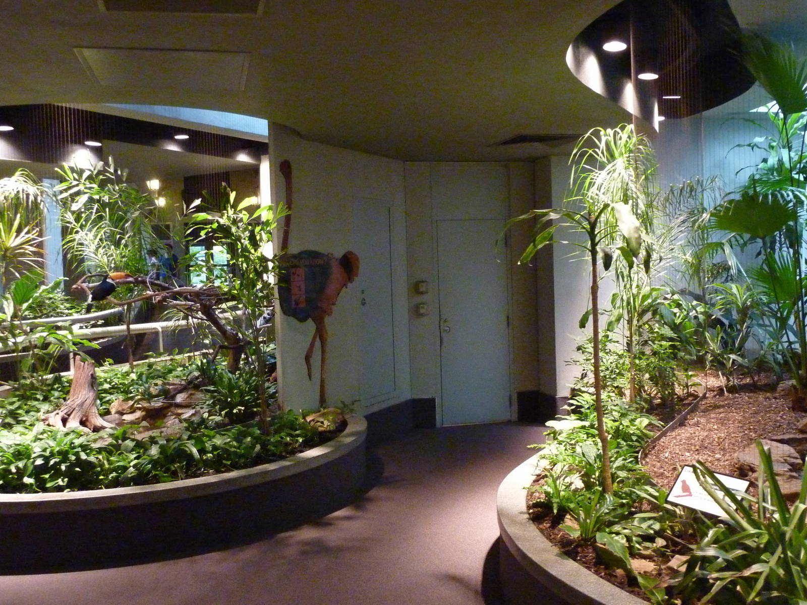 Bird House - Built In 1930