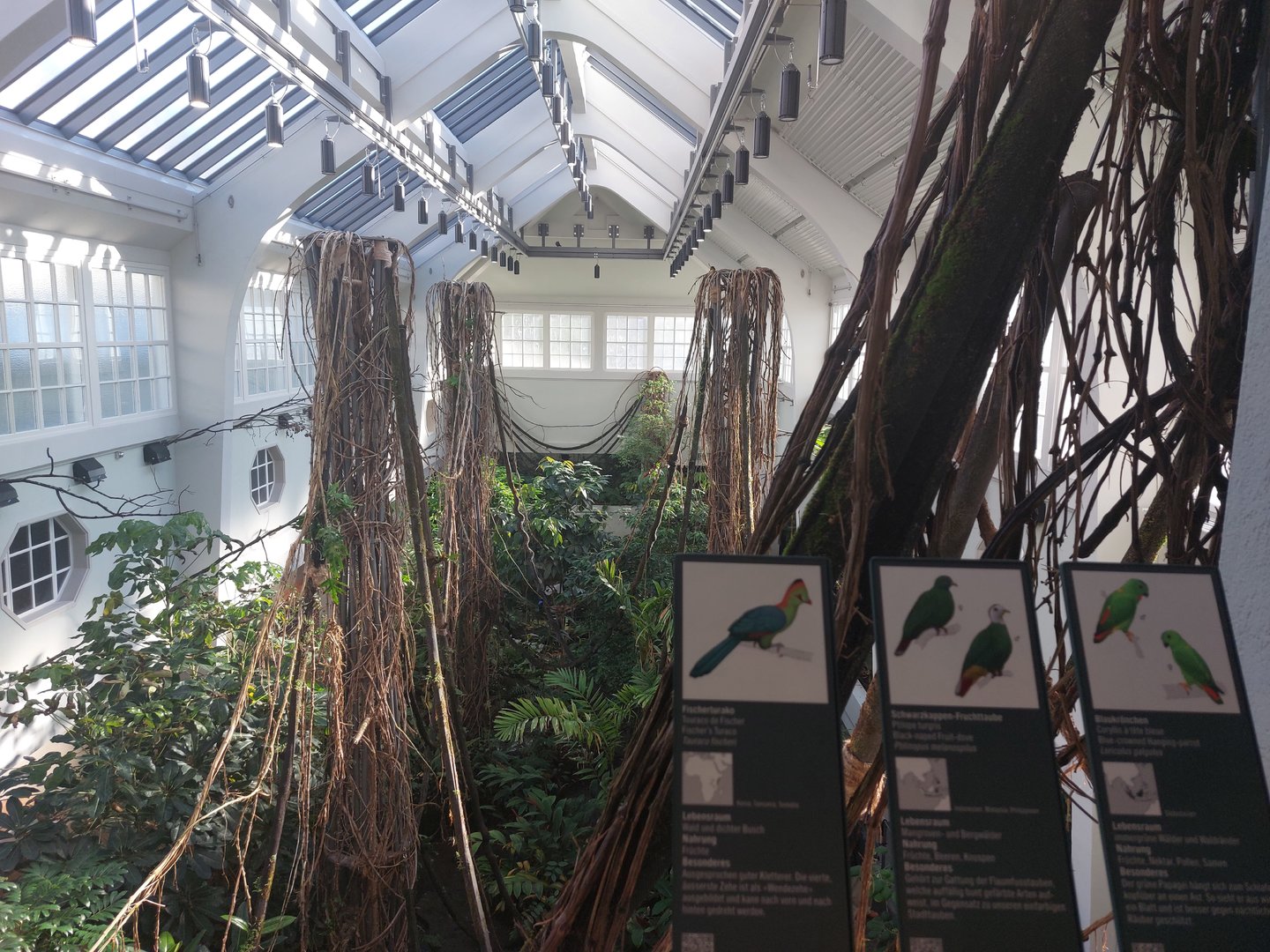 Bird house - canopy view