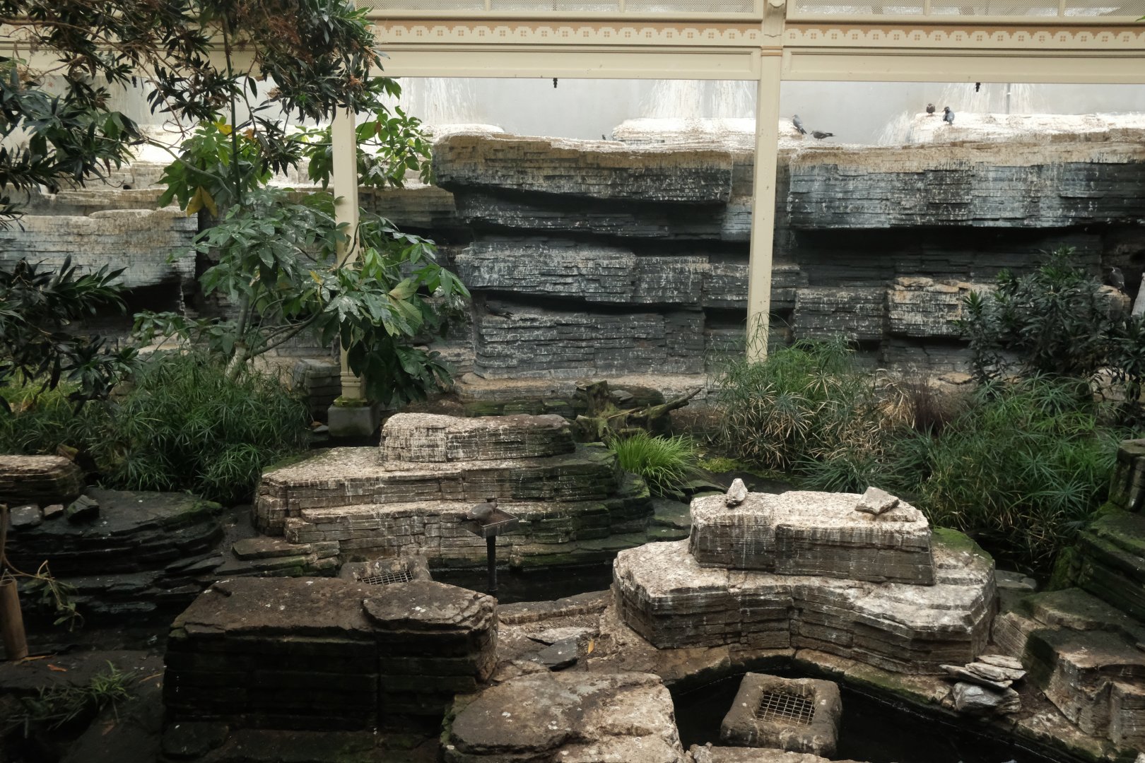 Bird House - Coastal Indoor Aviary