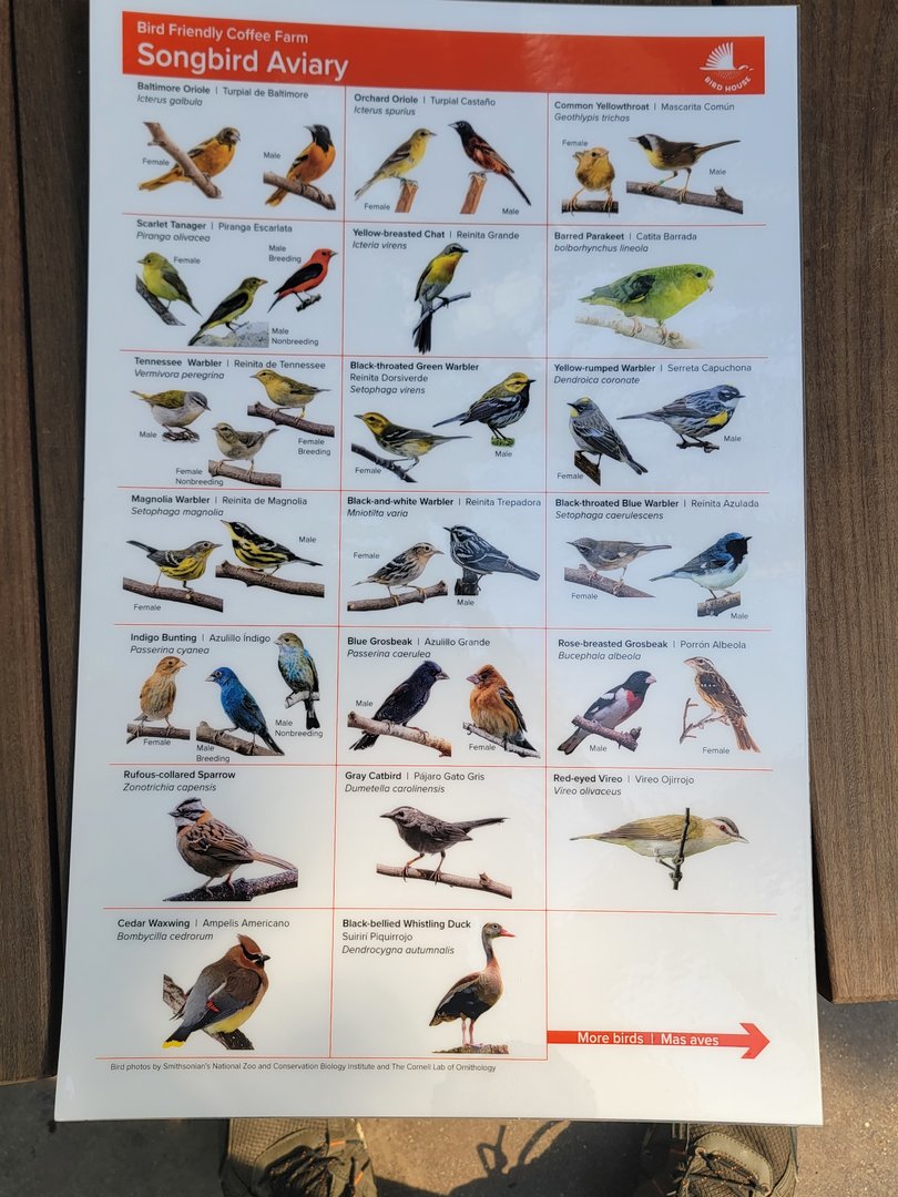 Bird House -  Coffee Farm Aviary Species Guide