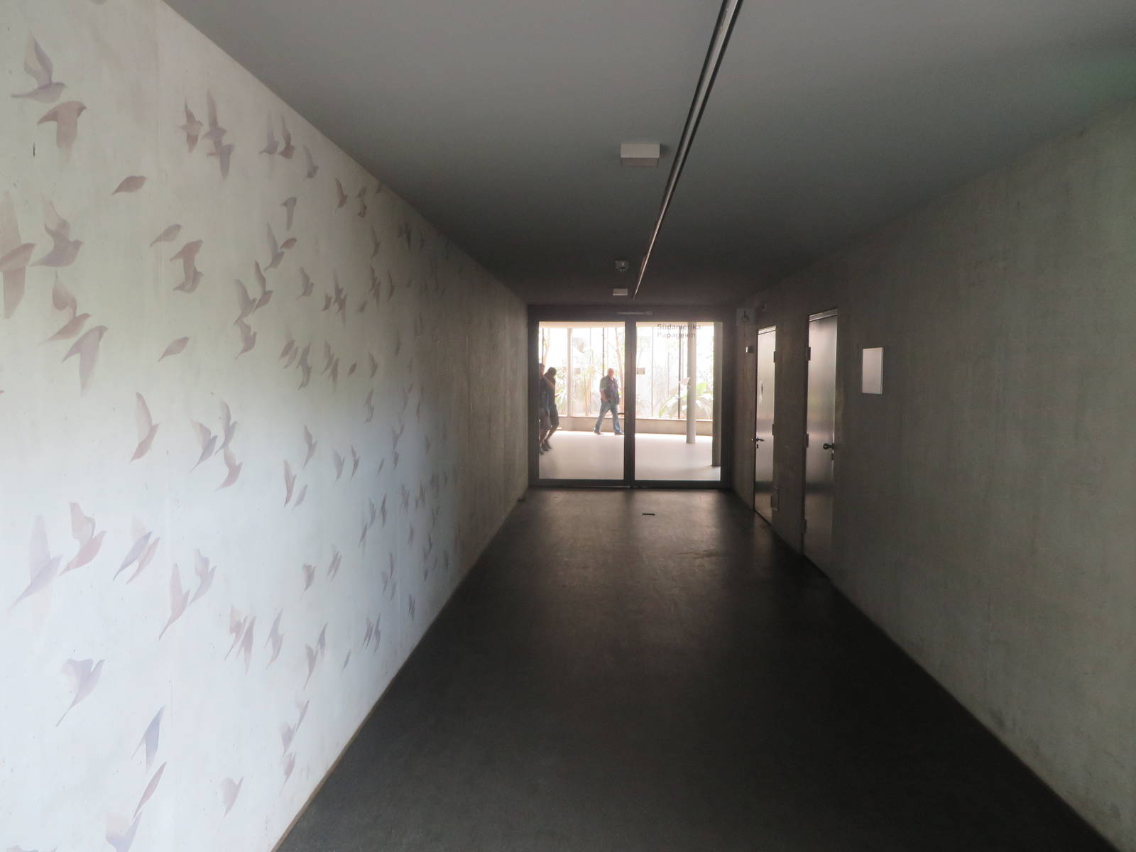 Bird house - corridor