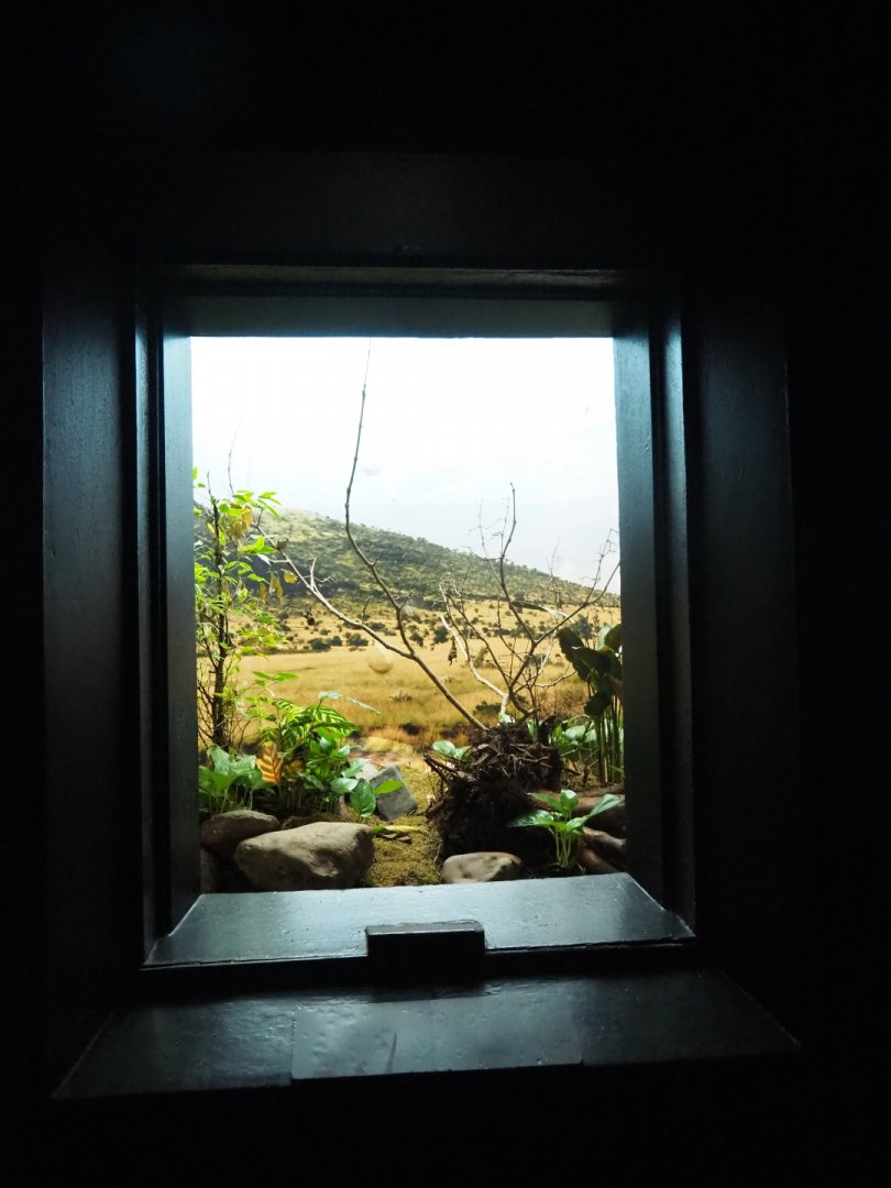 Bird House - Dark corridor - Antwerp cage system  - Example of an alcove