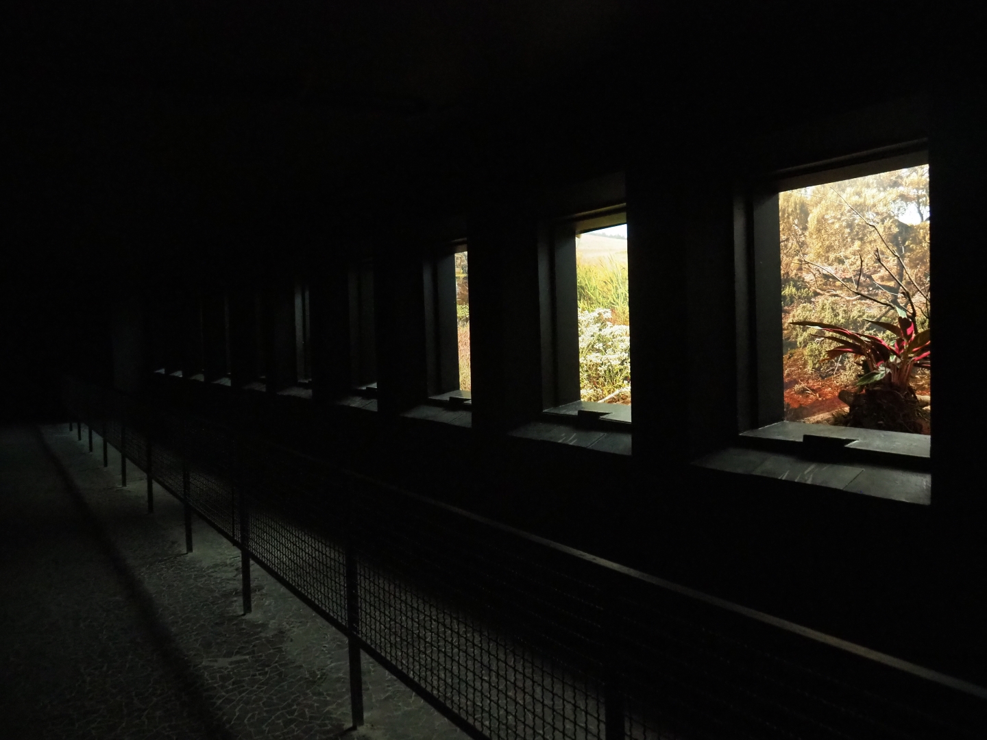 Bird House - Dark corridor - Antwerp cage system