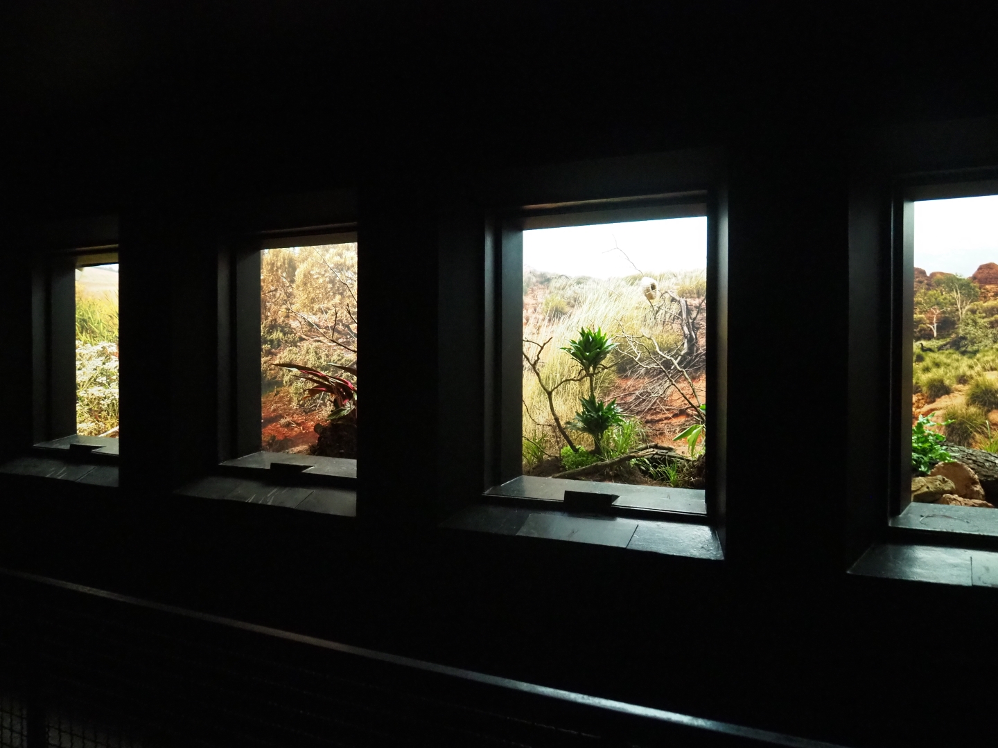 Bird House - Dark corridor - Antwerp cage system