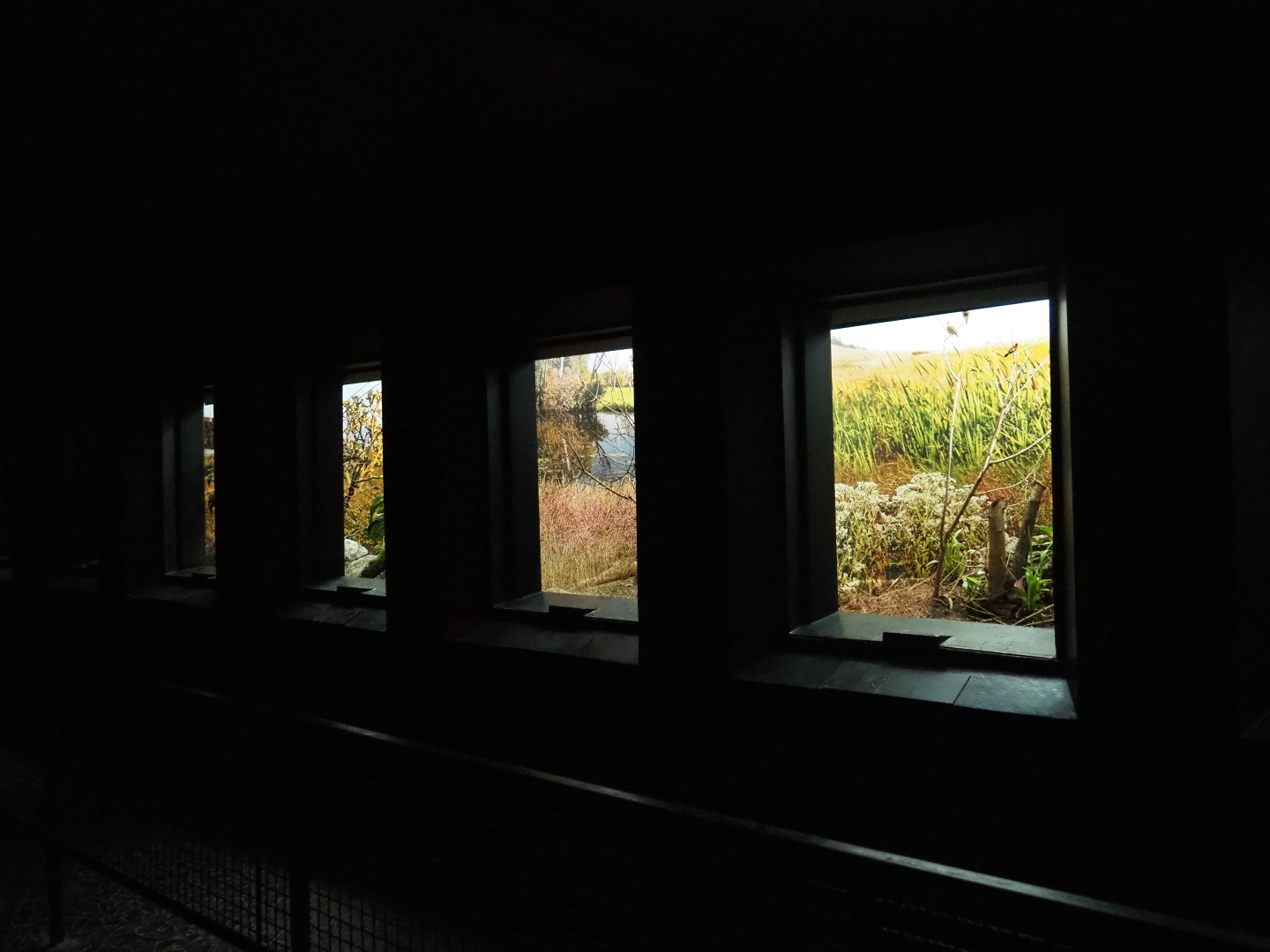 Bird House - Dark corridor - Antwerp cage system