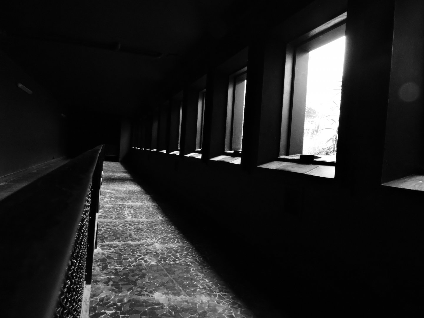 Bird House Dark Room