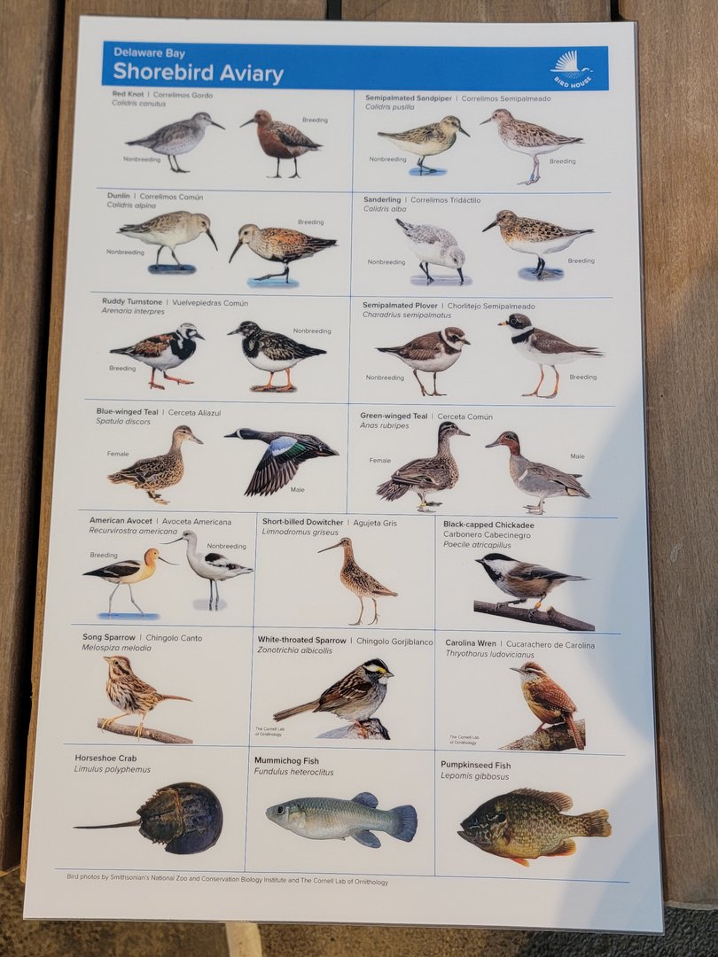 Bird House - Delaware Bay Aviary Species Guide