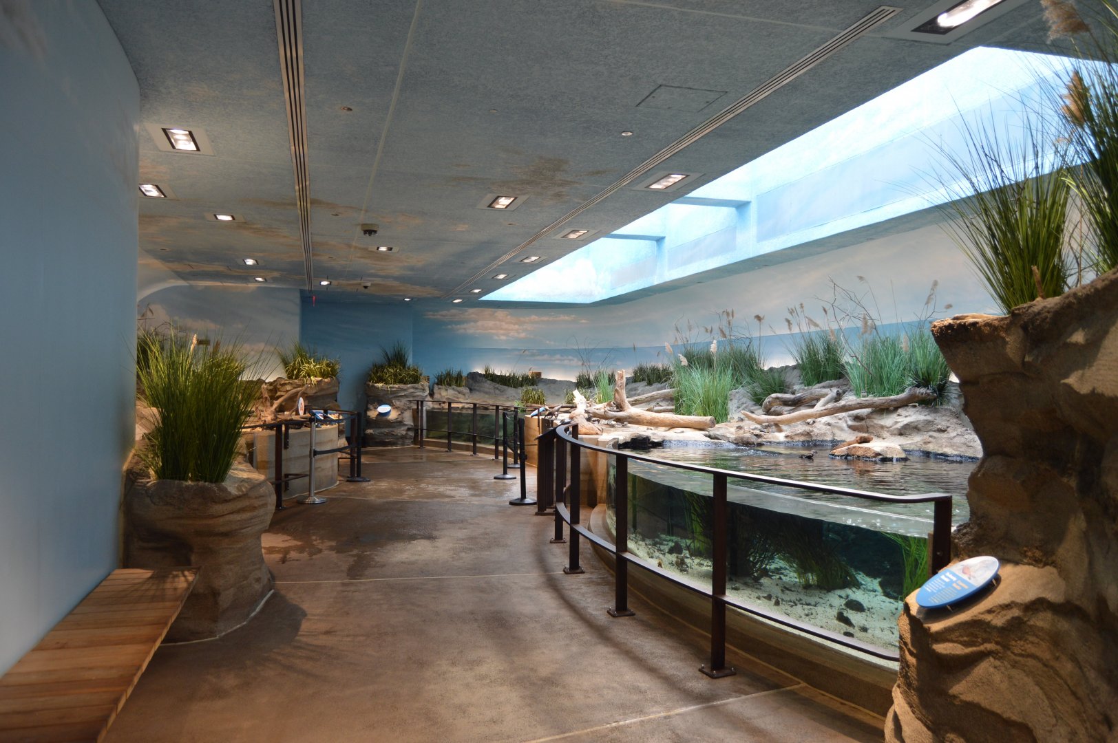 Bird House - Delaware Bay Shorebird Aviary