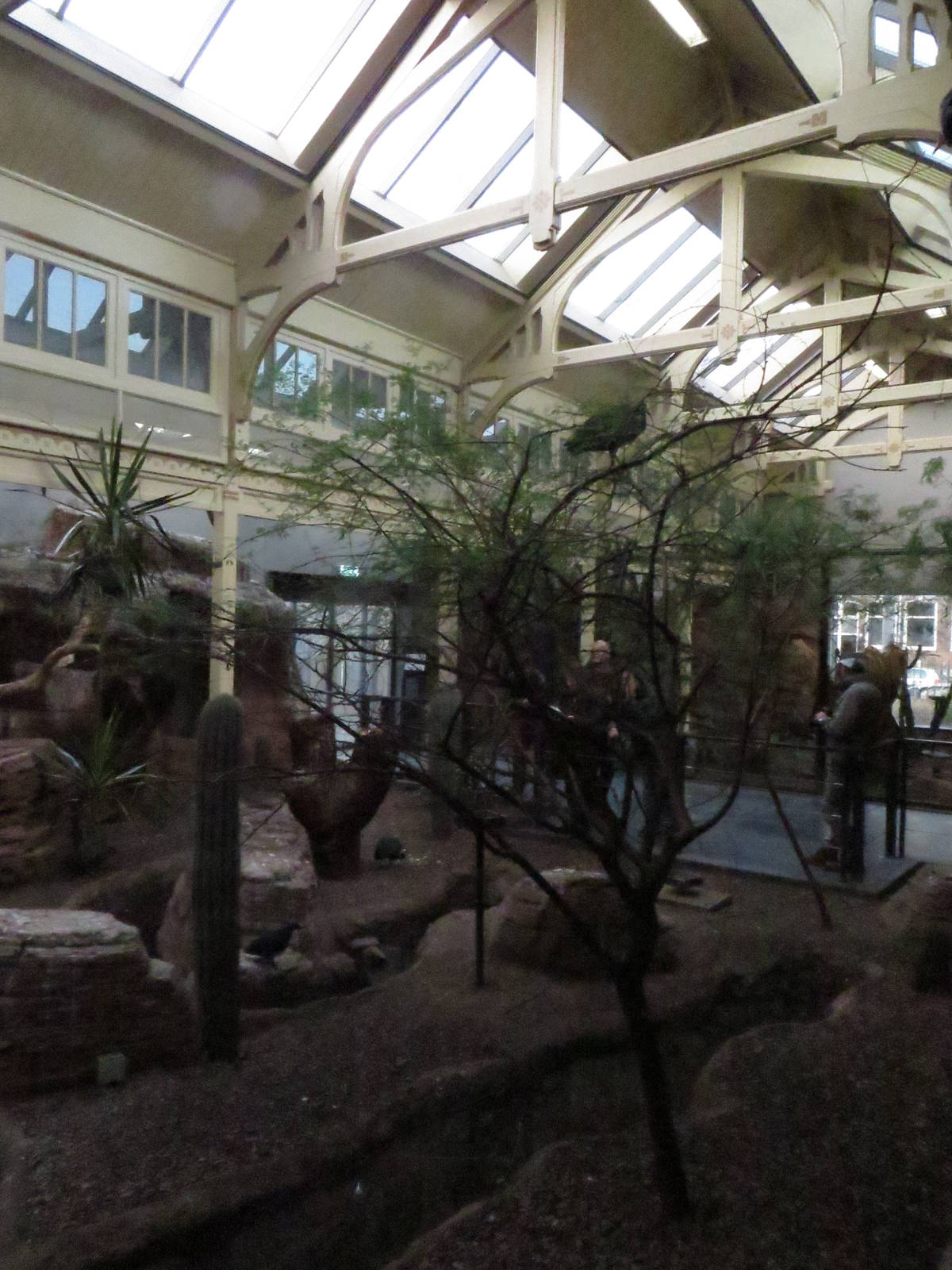 Bird house - desert part