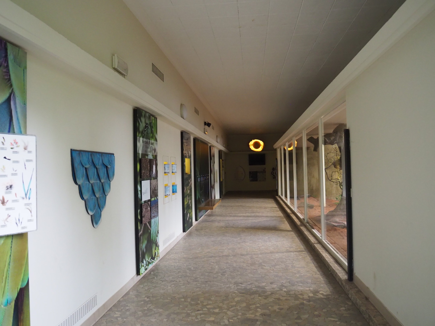 Bird house - Educational corridor, 2021-06-12