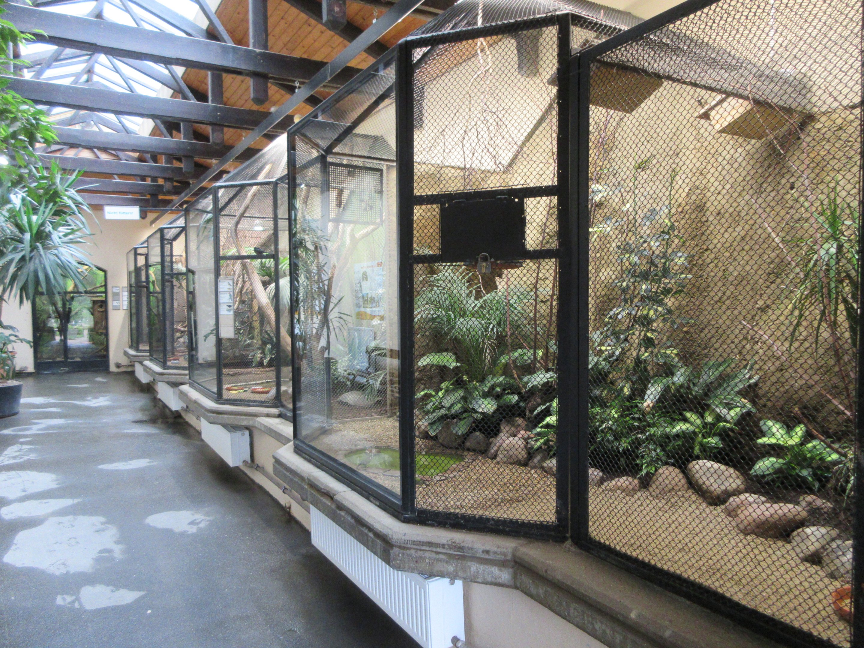 Bird House - entire interior area