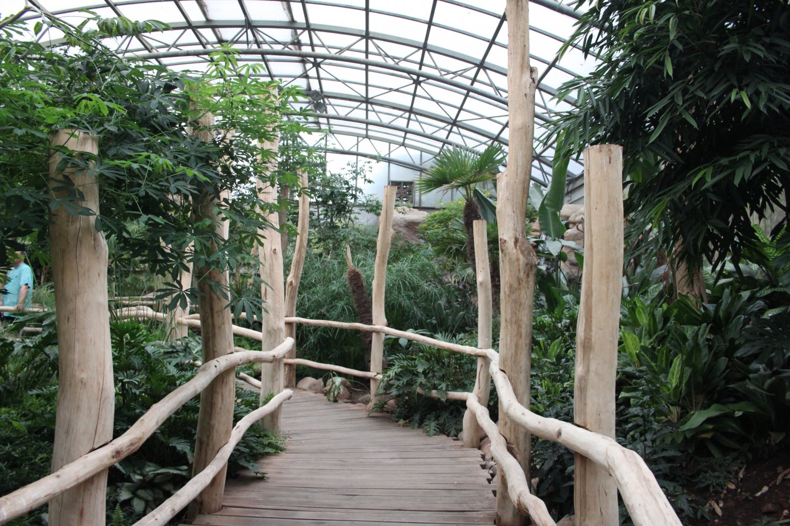 Bird house - Equatorial jungle section - Ground level view