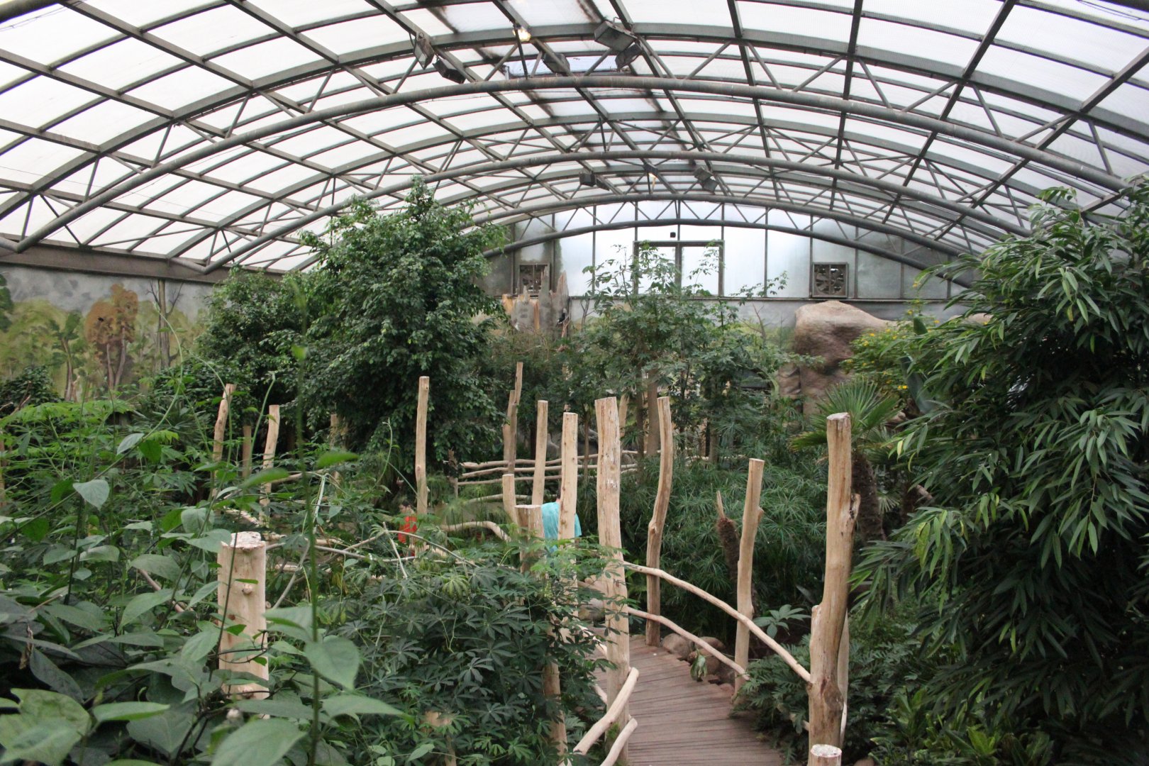 Bird house - Equatorial jungle section - Upper level view