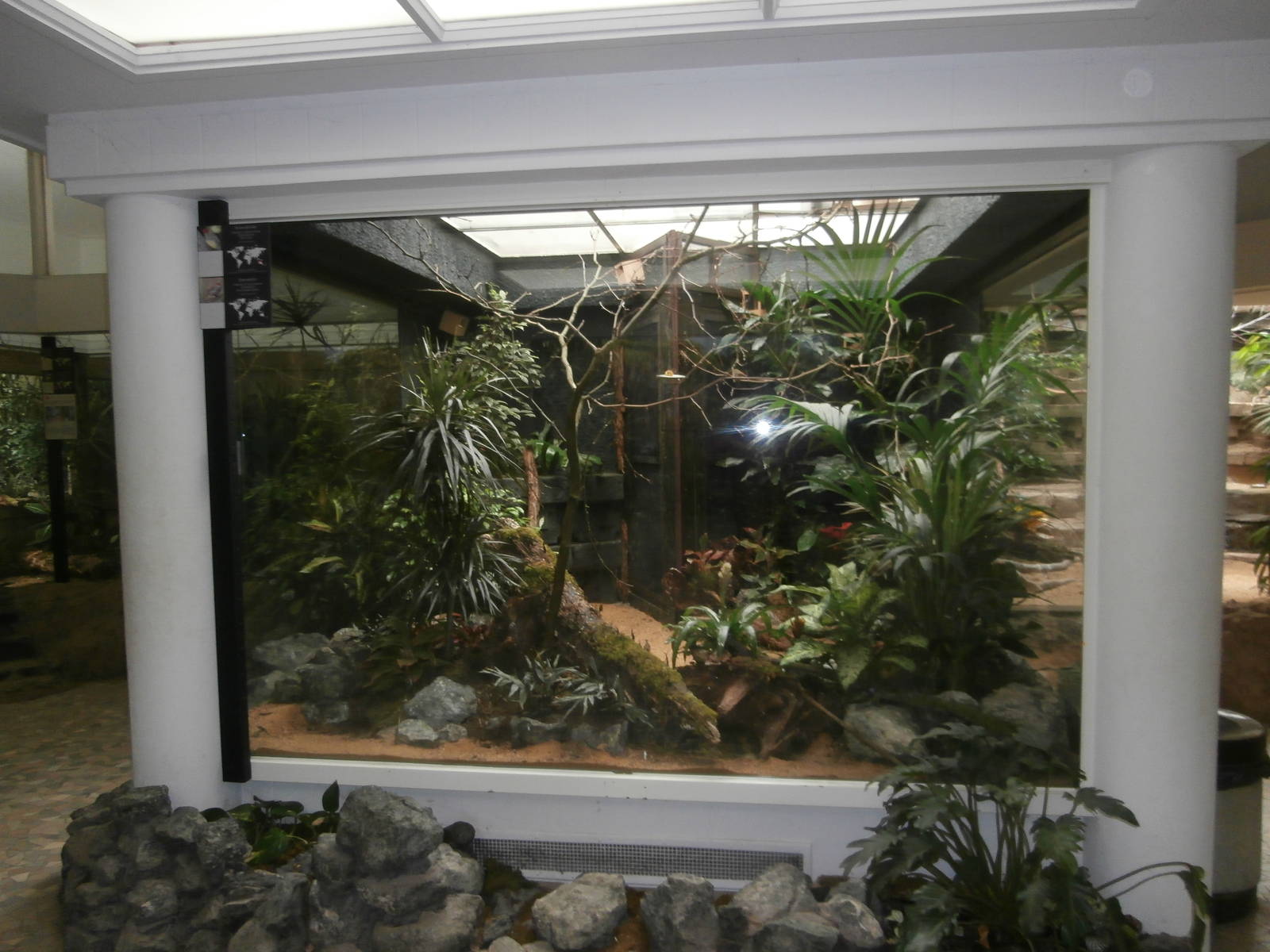 Bird House estrildid finch enclosure