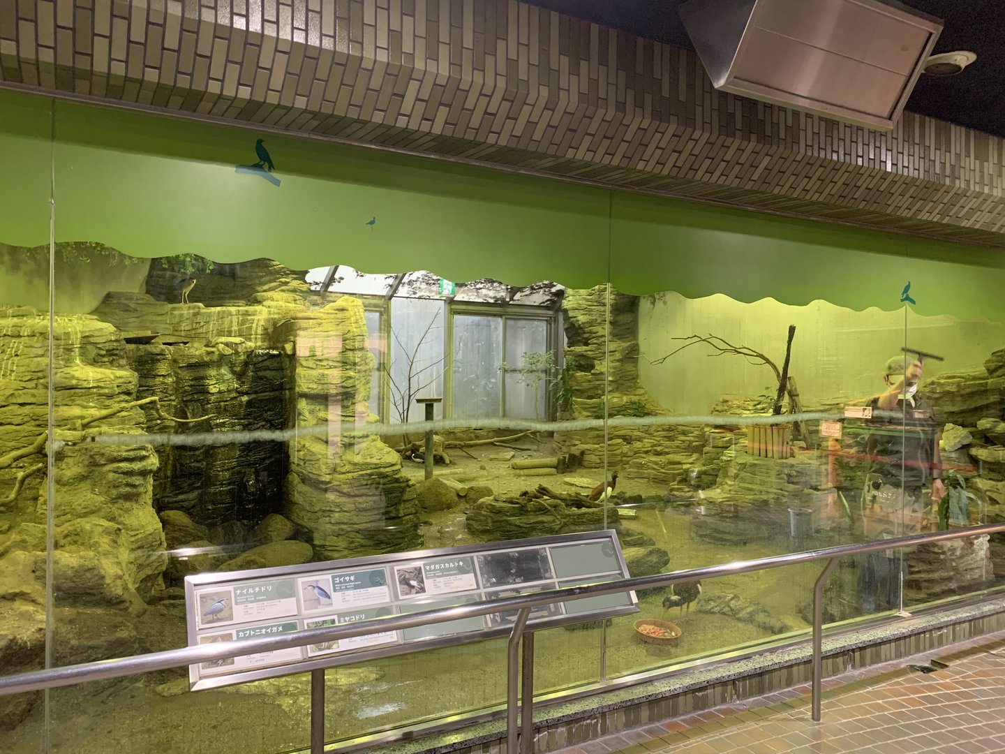 Bird House Exhibit 1 Viewing