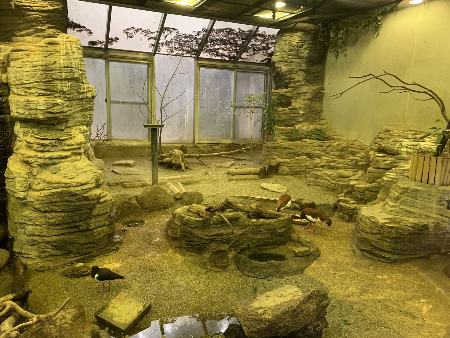 Bird House Exhibit 1