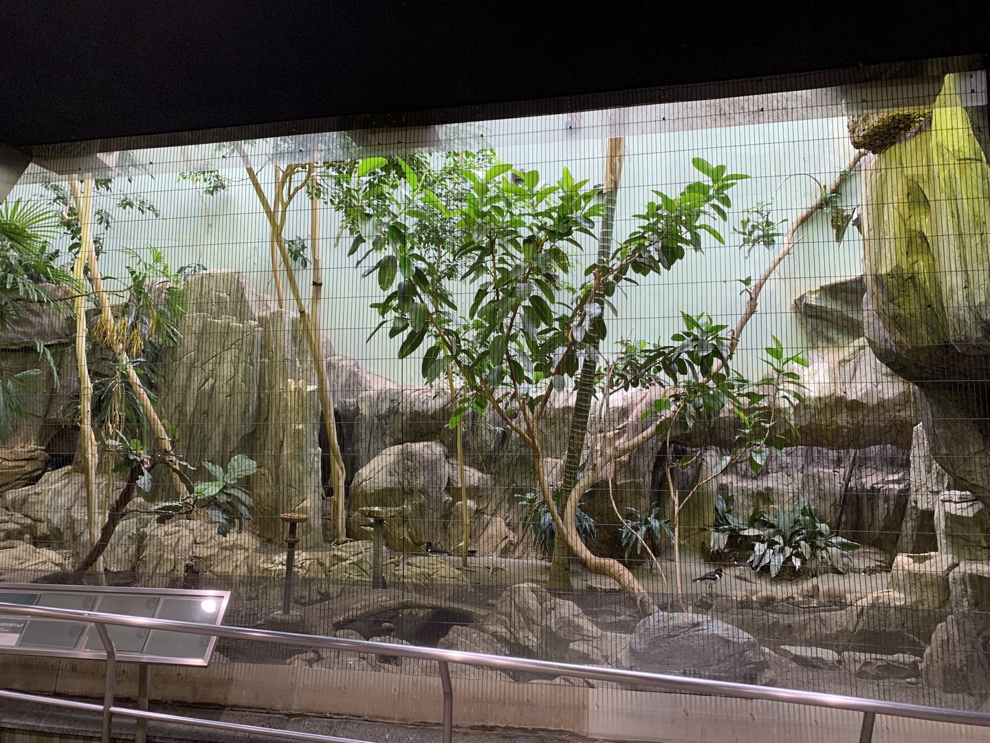 Bird House Exhibit 2 Ground Floor Veiwing