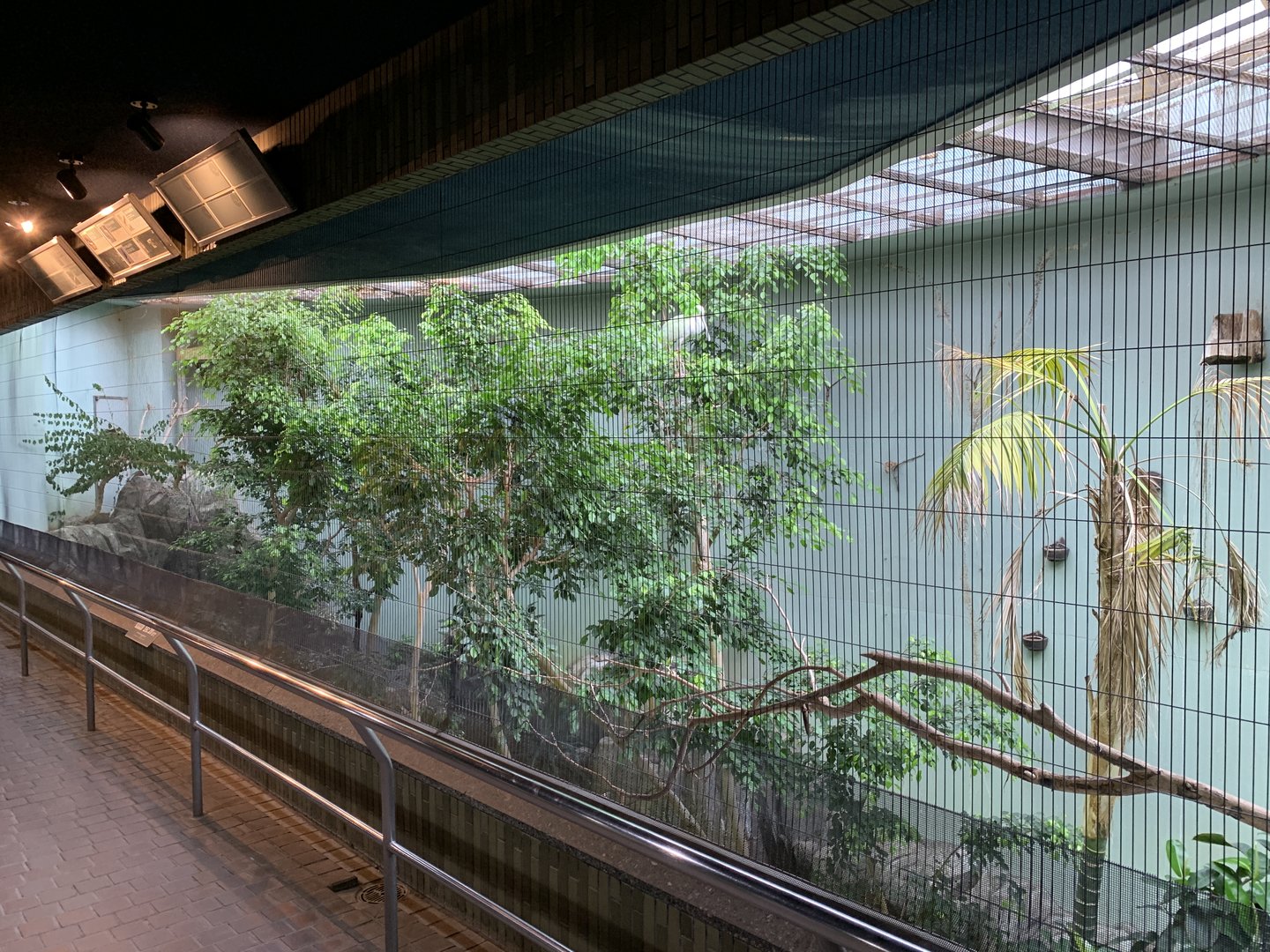 Bird House Exhibit 2 Upper Floor Viewing