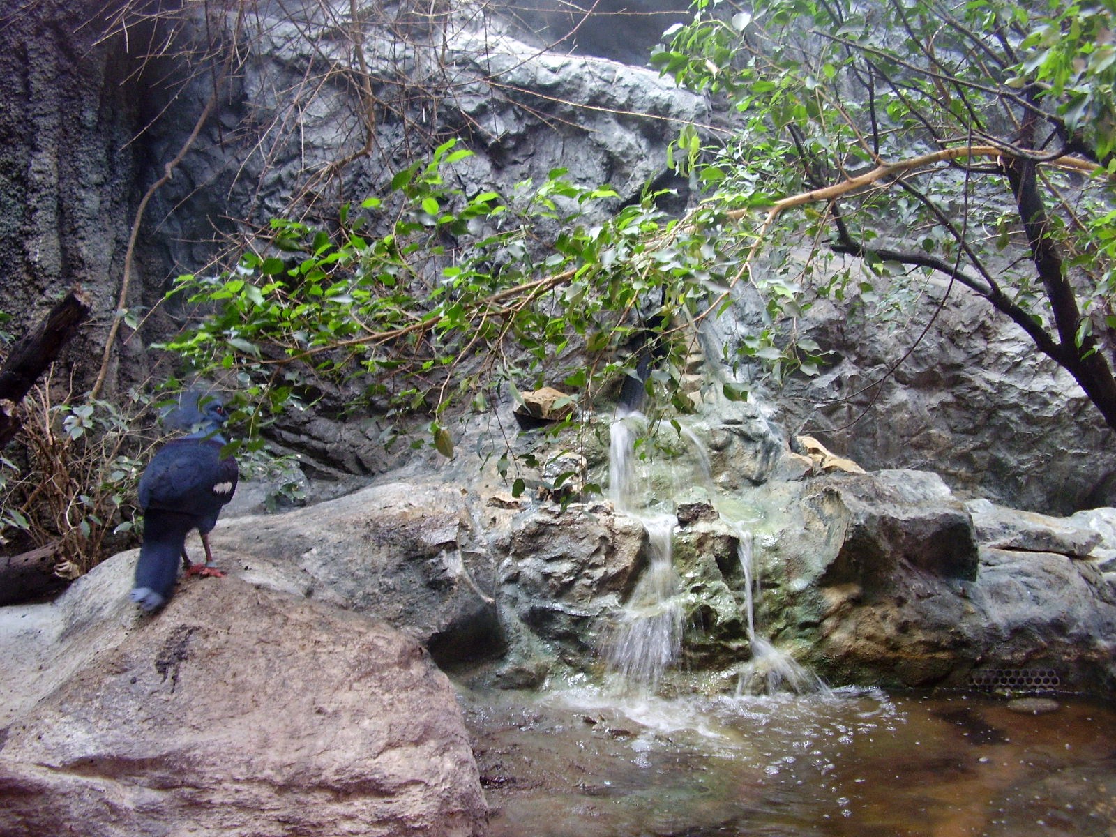 Bird House Exhibit - 2008