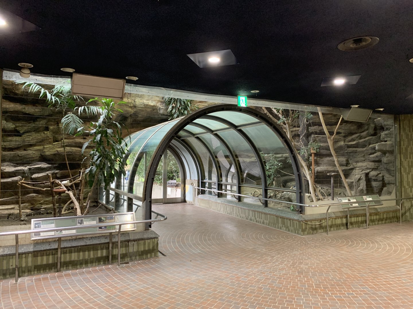 Bird House Exhibit 3 Ground Floor