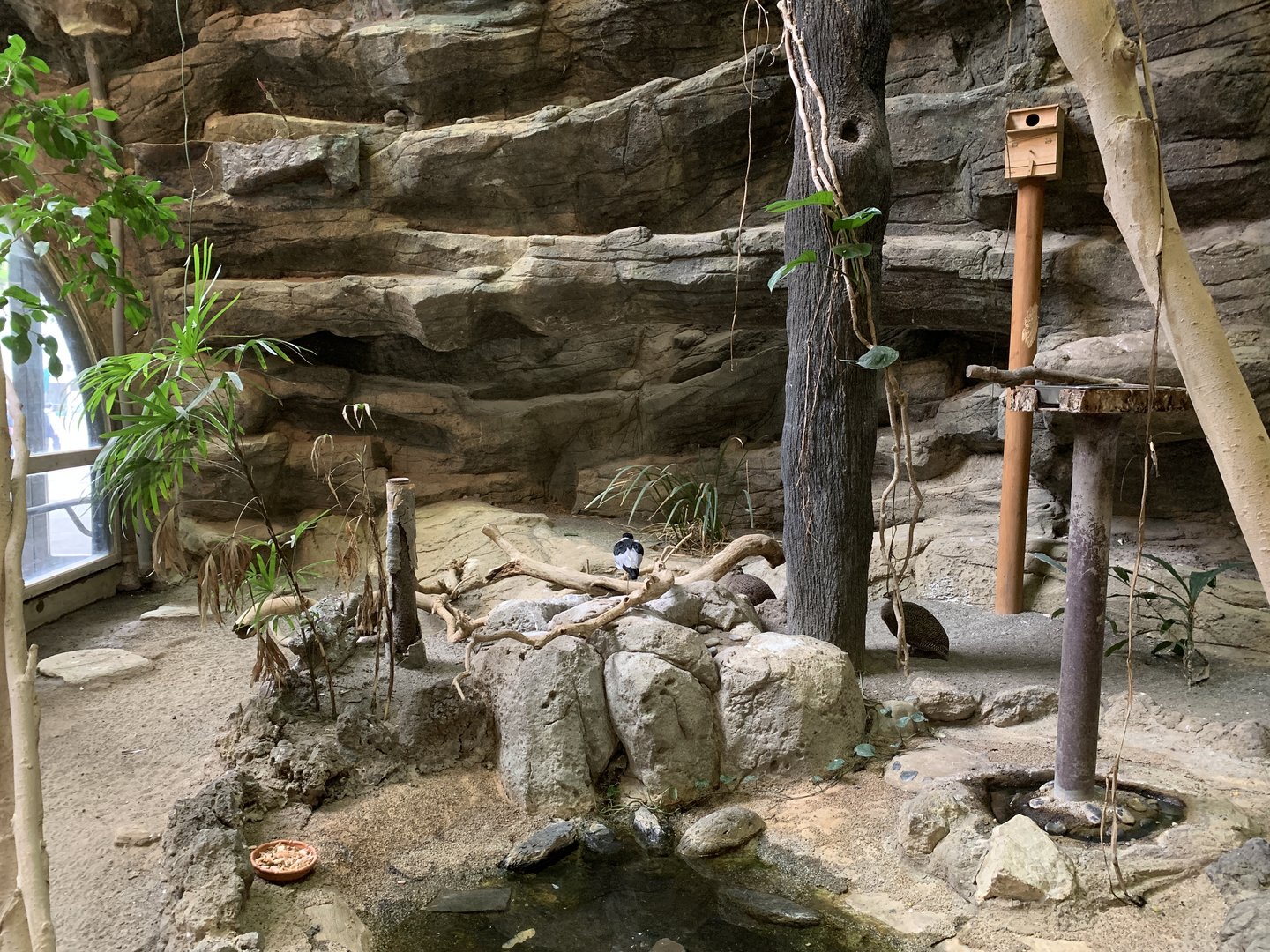 Bird House Exhibit 3 Ground Floor