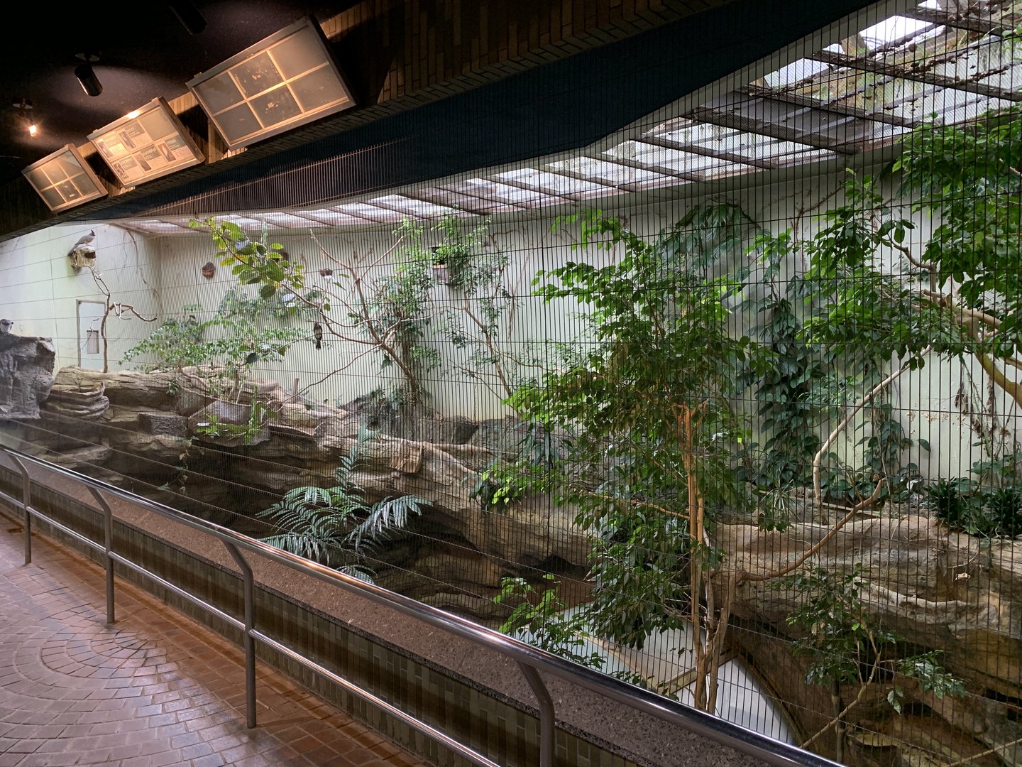 Bird House Exhibit 3 Upper Floor Viewing