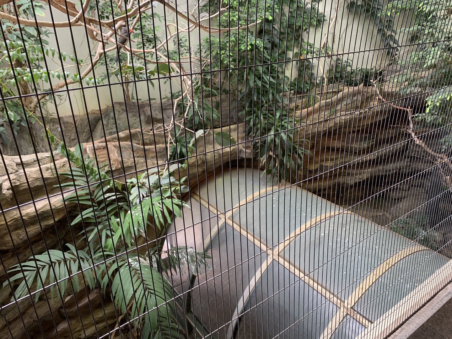 Bird House Exhibit 3 Upper Floor