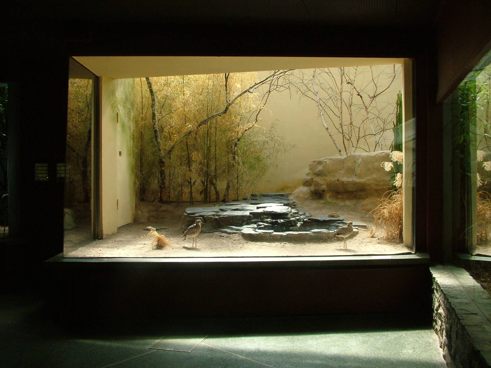 Bird House Exhibit at Frankfurt 31/08/10