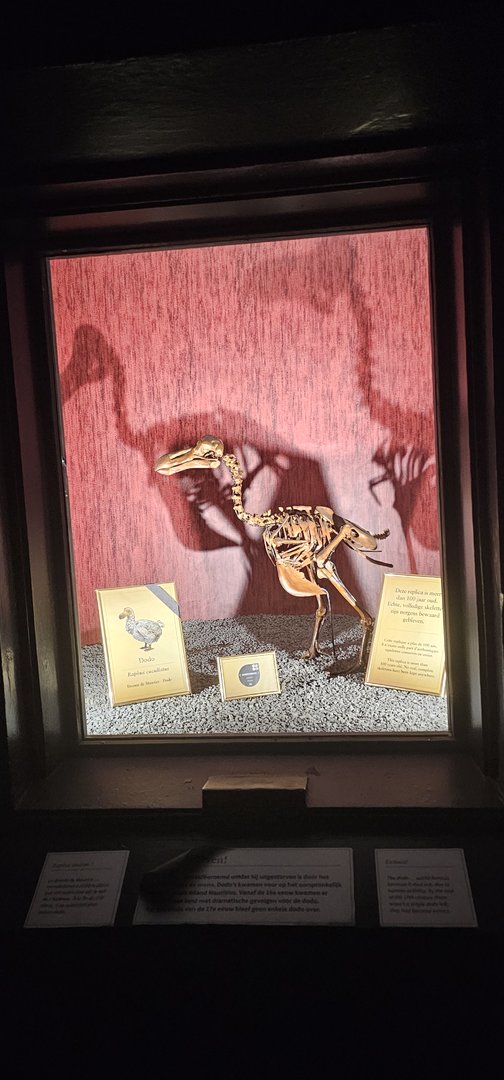 Bird house, exhibition in old dark corridor area