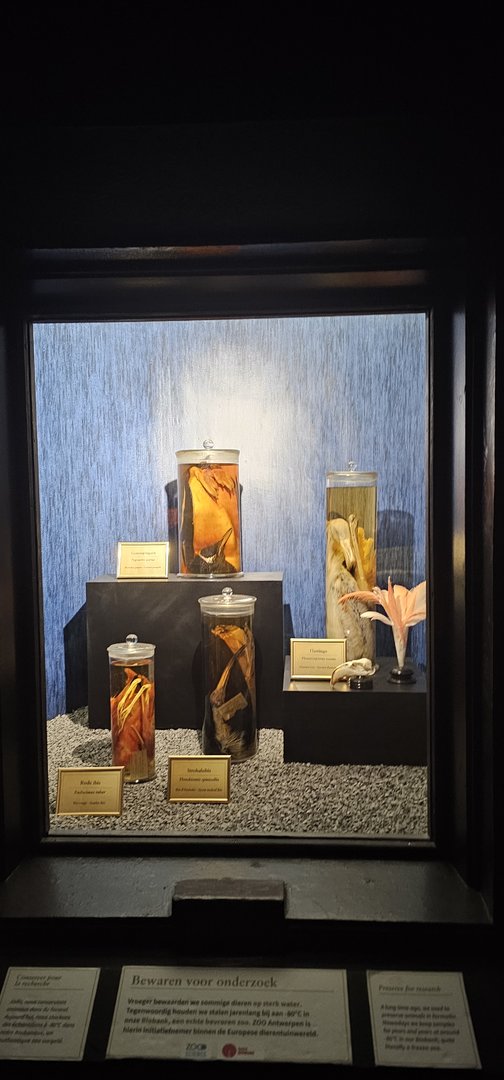 Bird house, exhibition in old dark corridor area