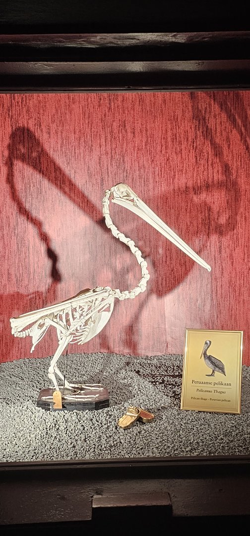 Bird house, exhibition in old dark corridor area