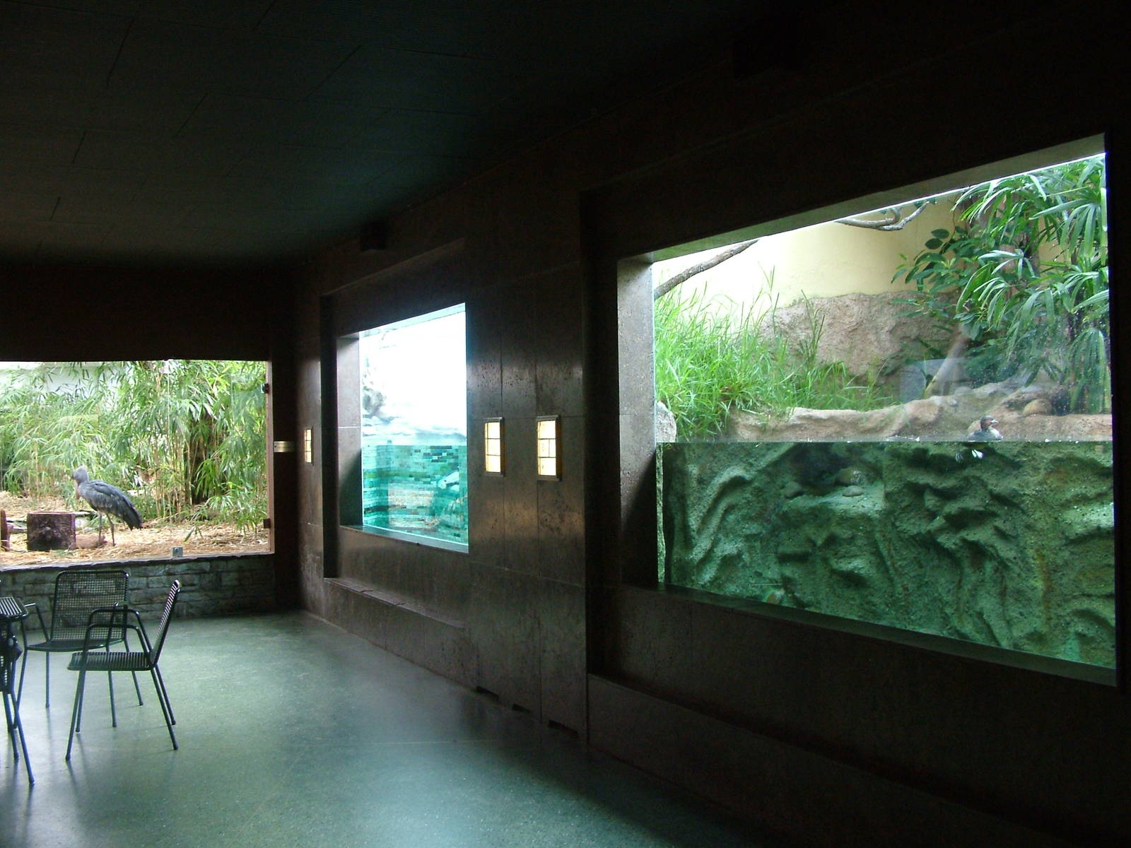 Bird House exhibits at Frankfurt 31/08/10