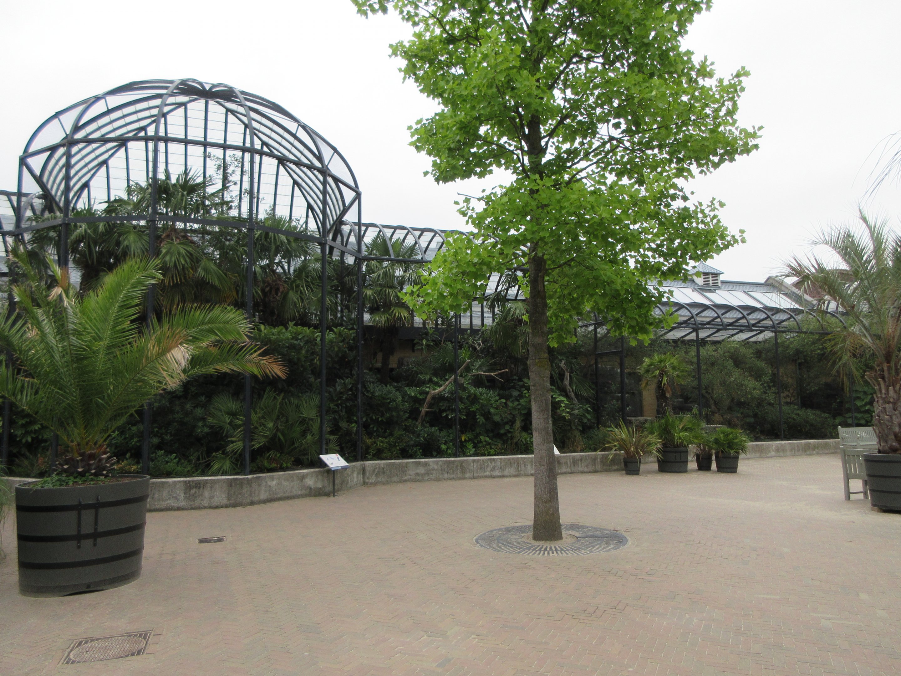 Bird House - Exterior Aviaries