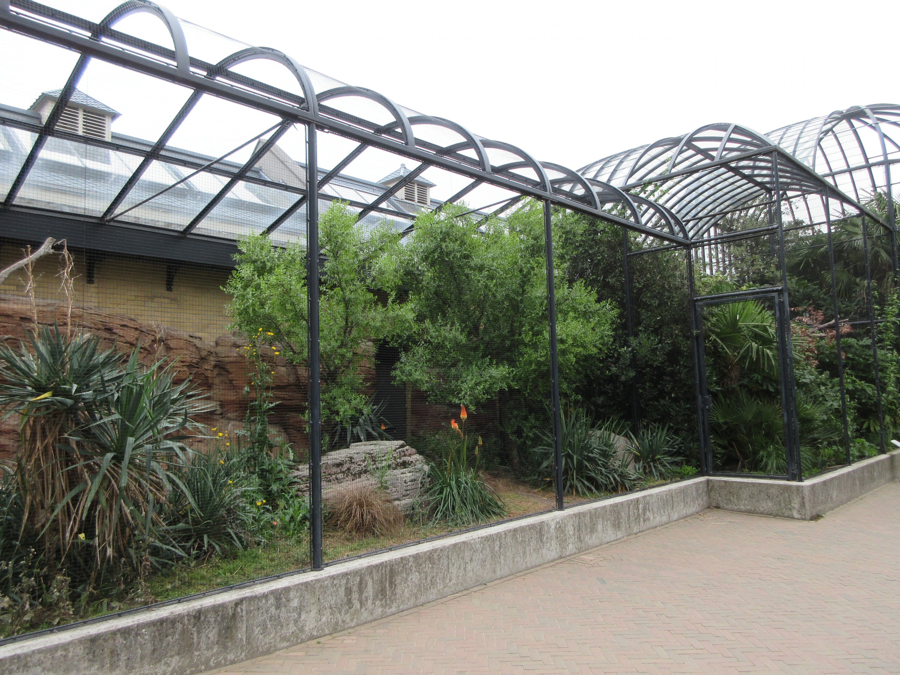 Bird House - Exterior Aviaries