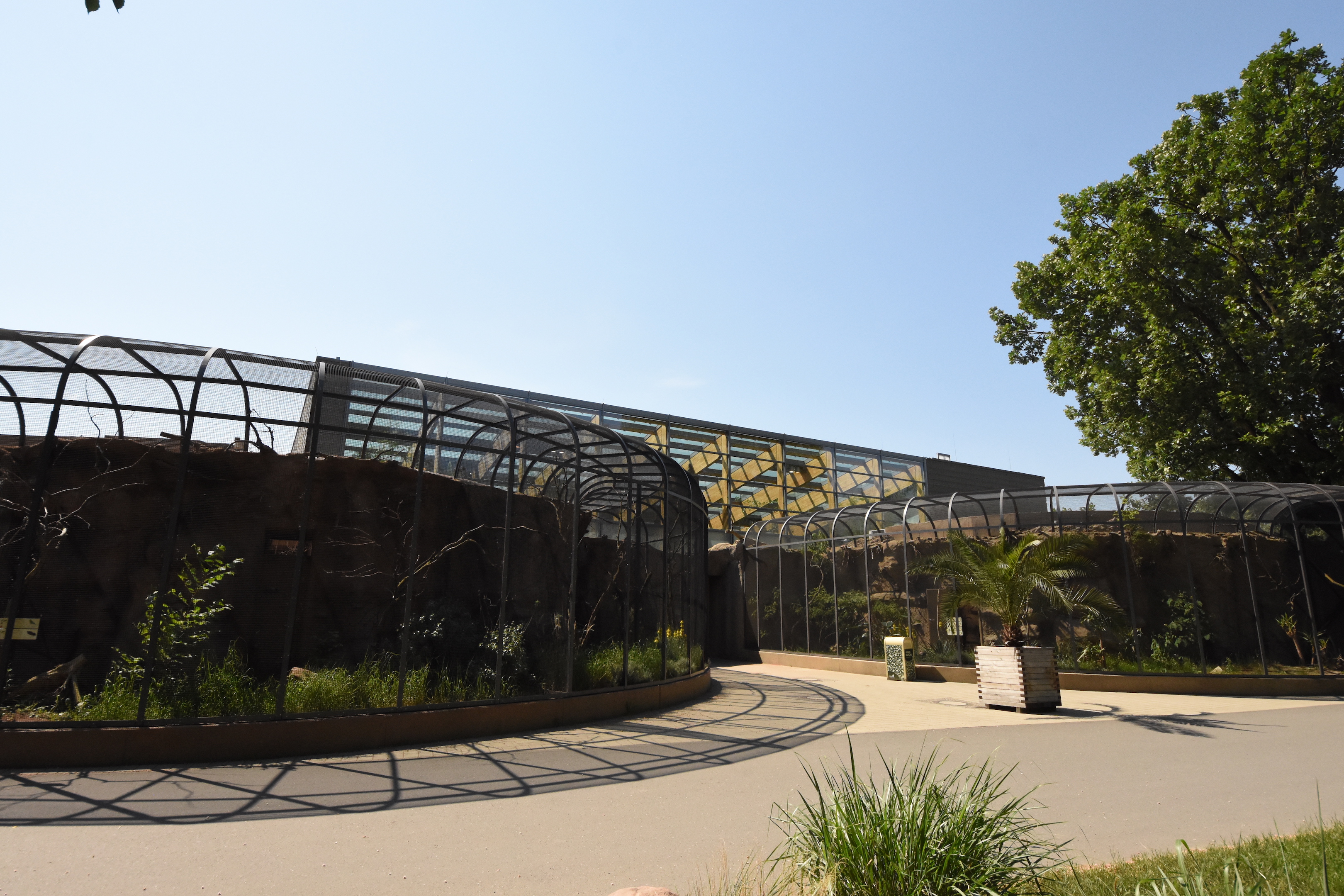 Bird house - exterior