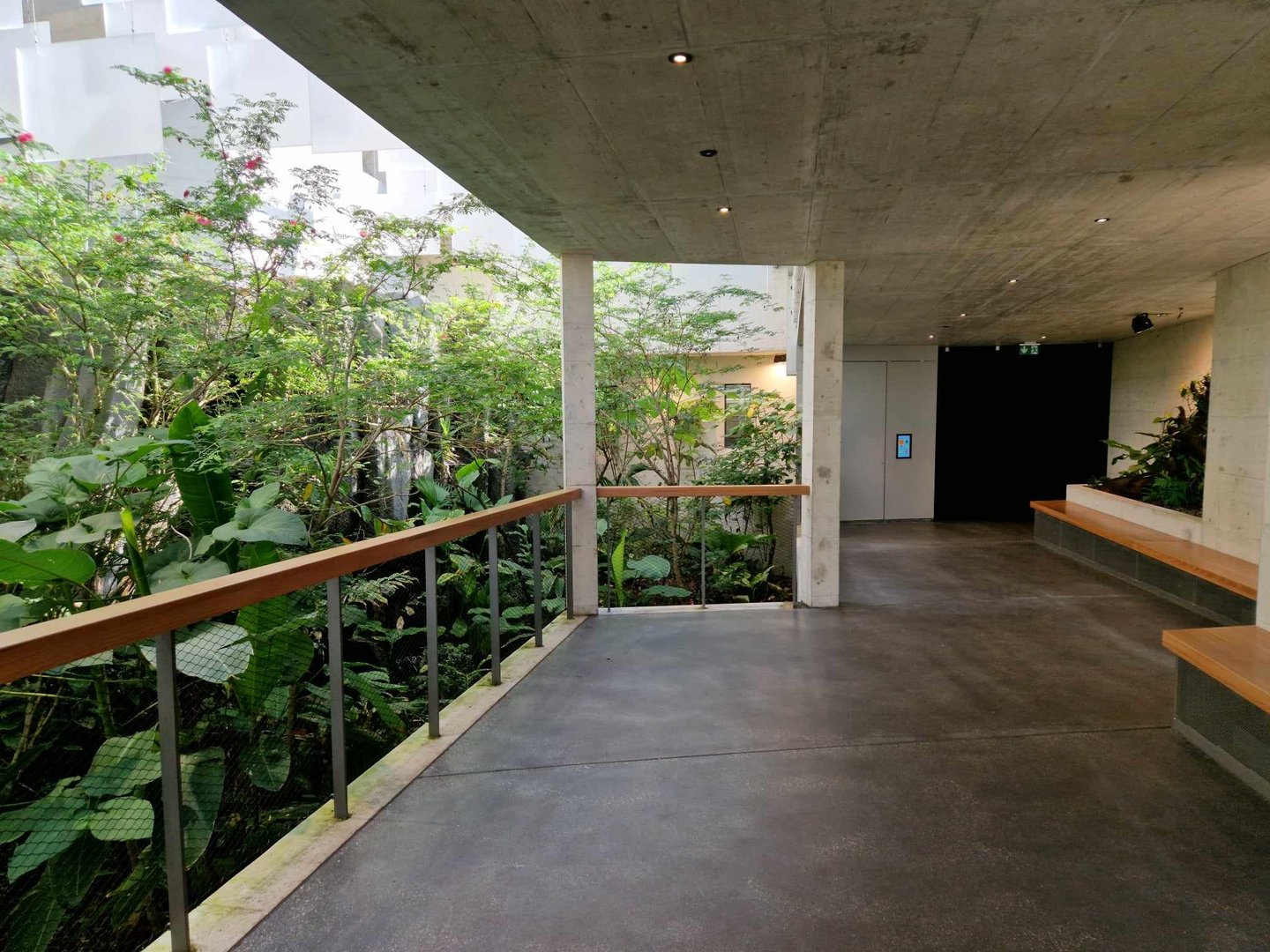 Bird house first hall