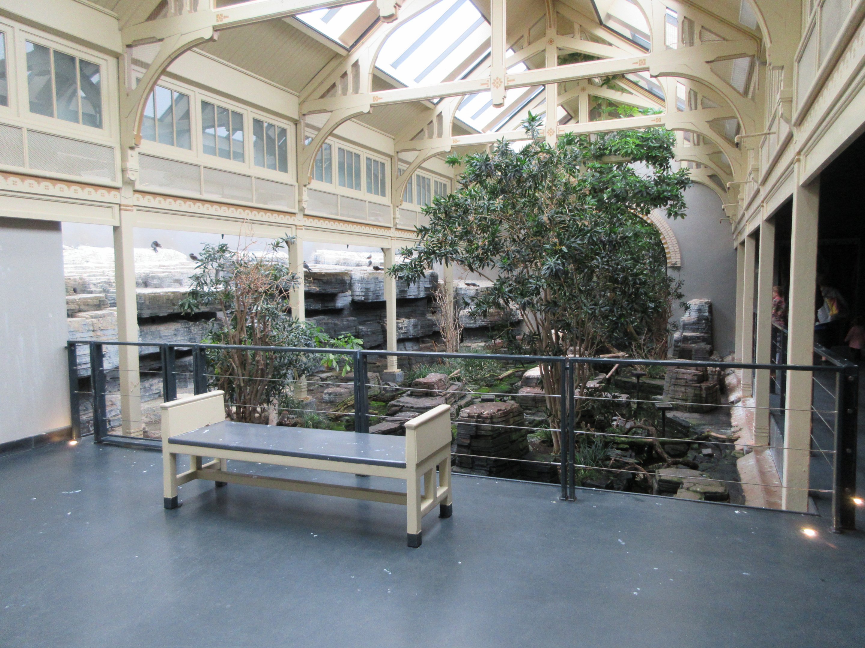 Bird House - First Room (Inca Tern Exhibit)