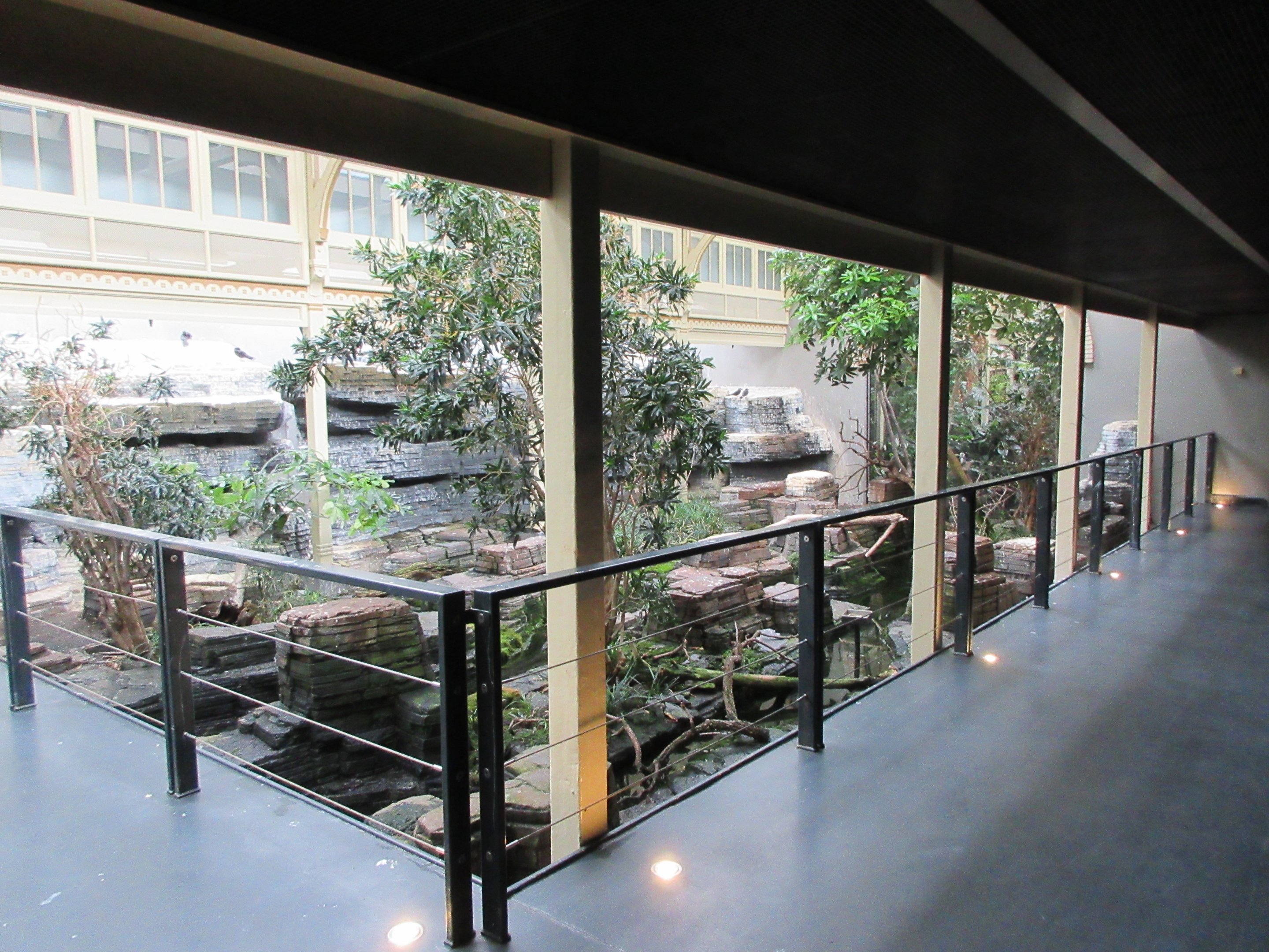 Bird House - First Room (Inca Tern Exhibit)